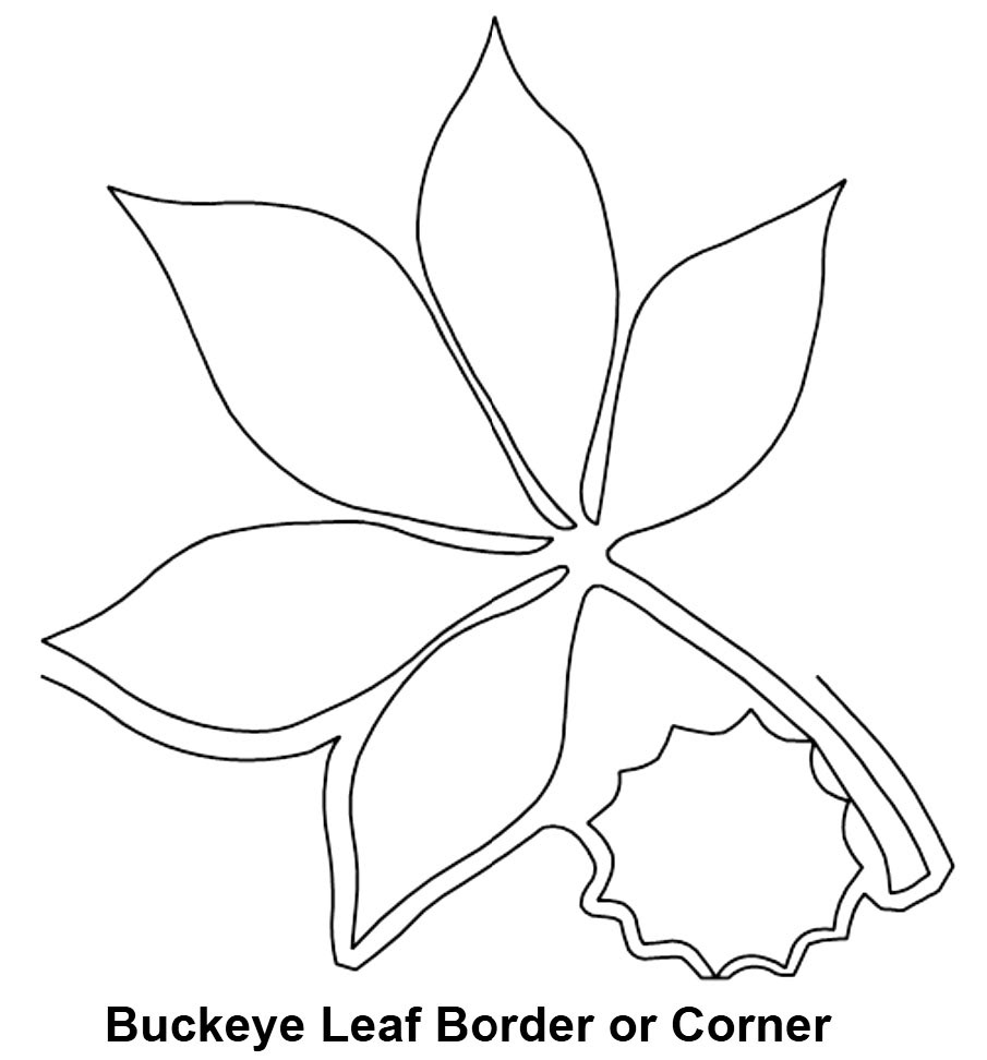 Buckeye Leaf Border