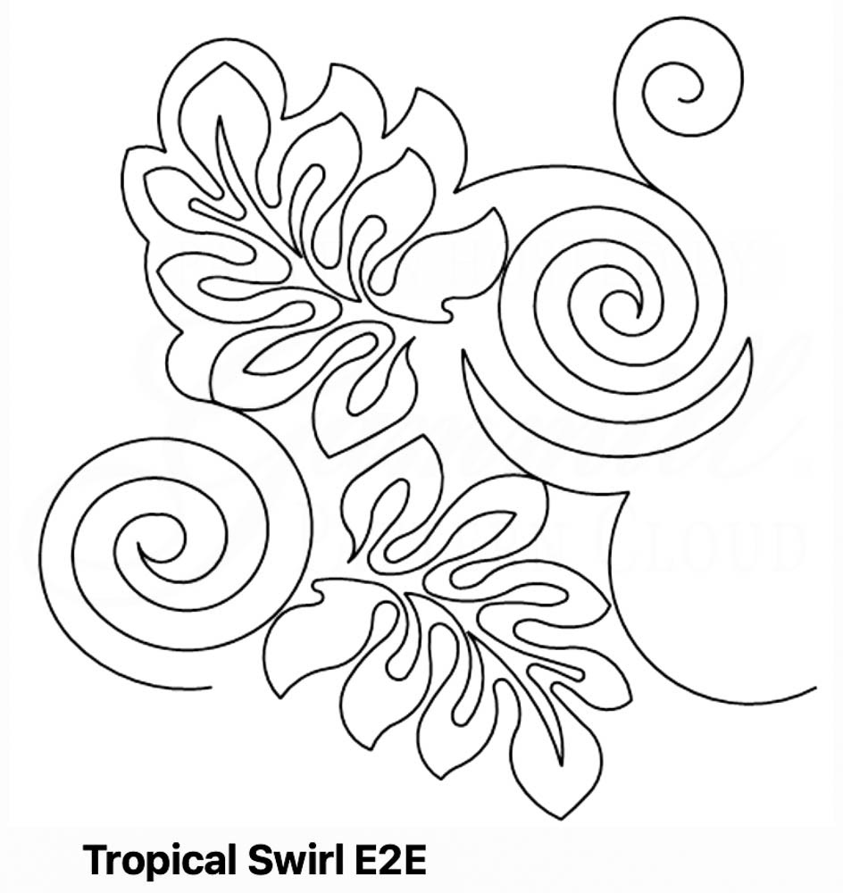 Tropical Swirl E2E