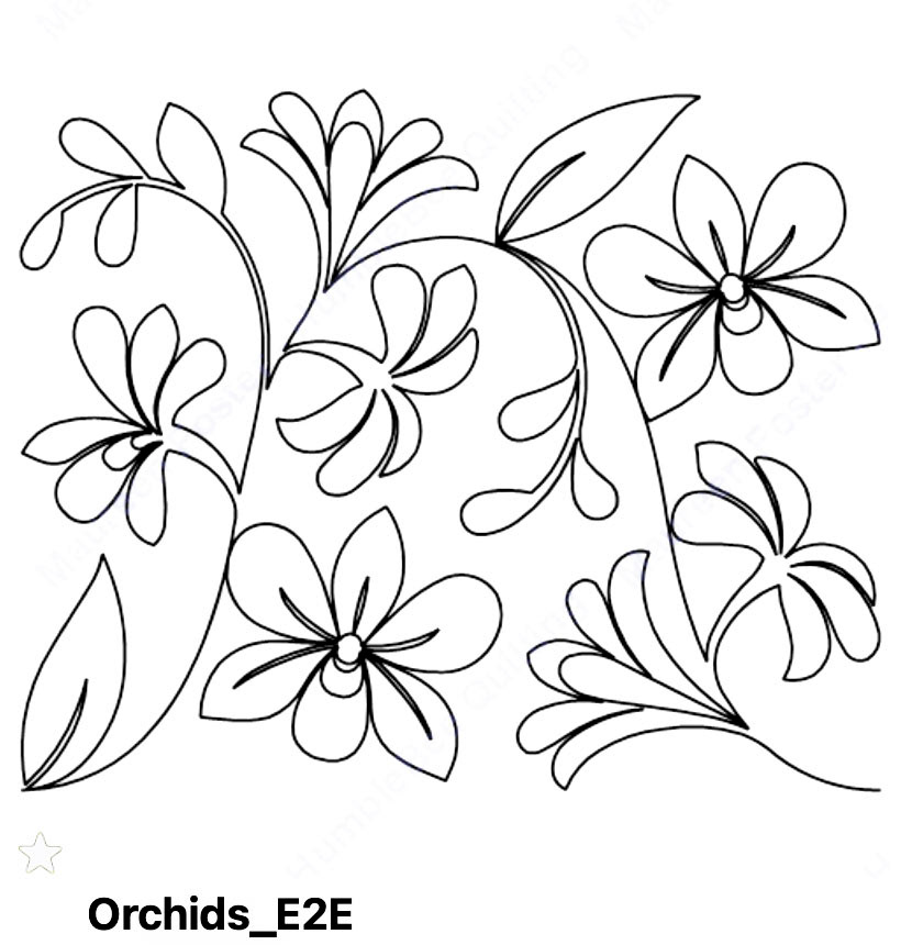 Orchids_e2e