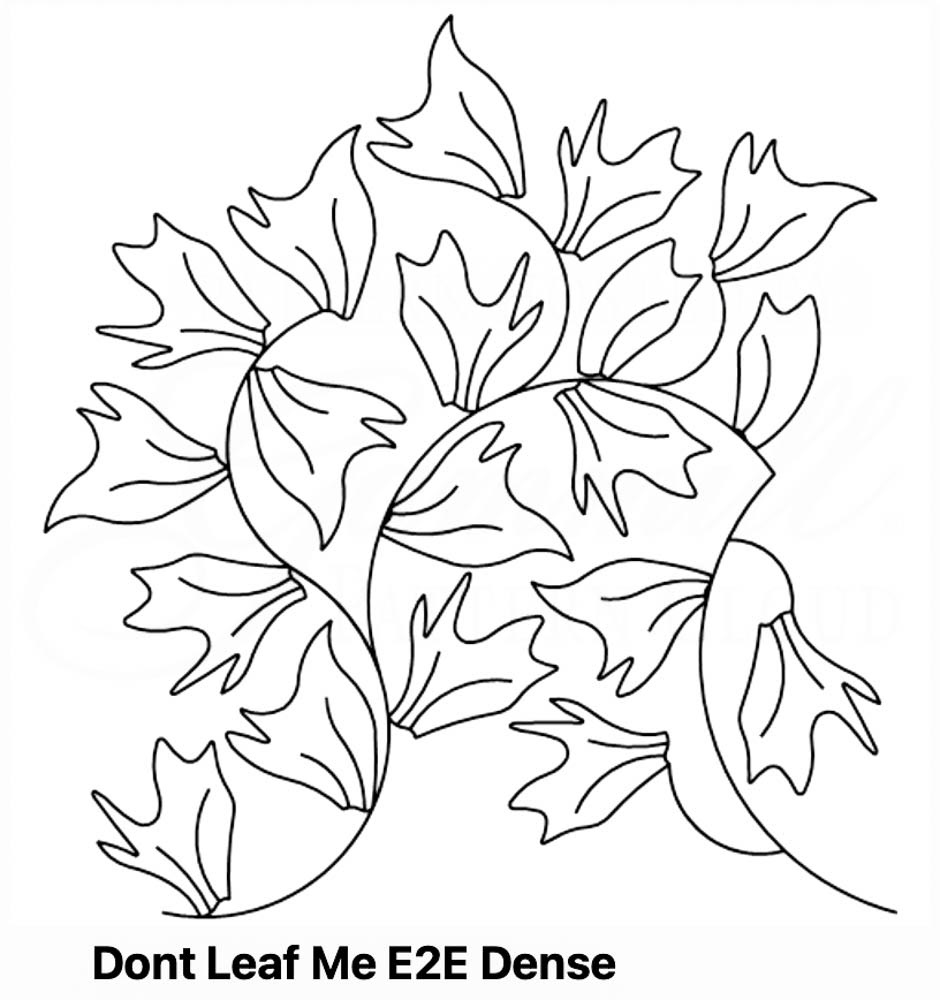 Don't Leaf Me E2E Dense