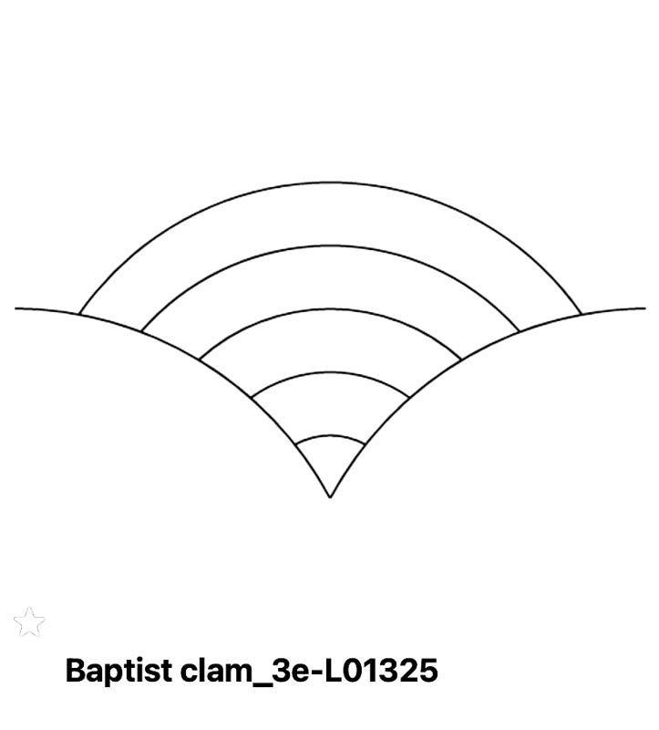 Baptist Clam 3E L01325