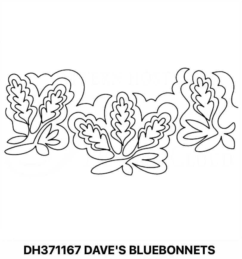 Dave's Bluebonnets