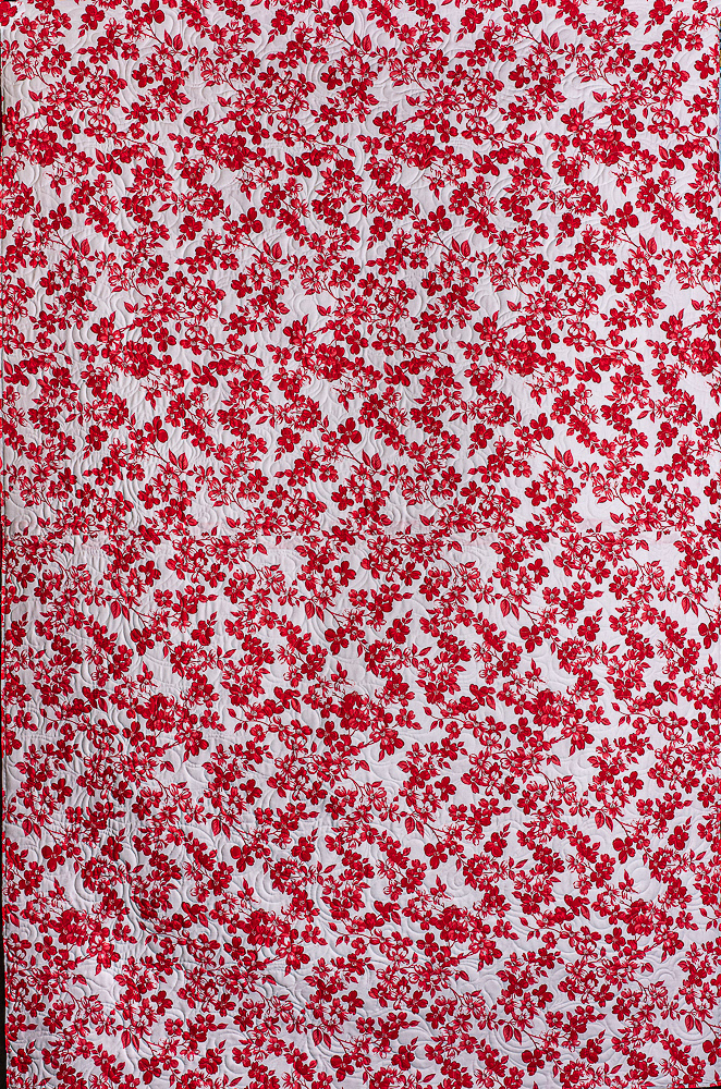 Back of quilt