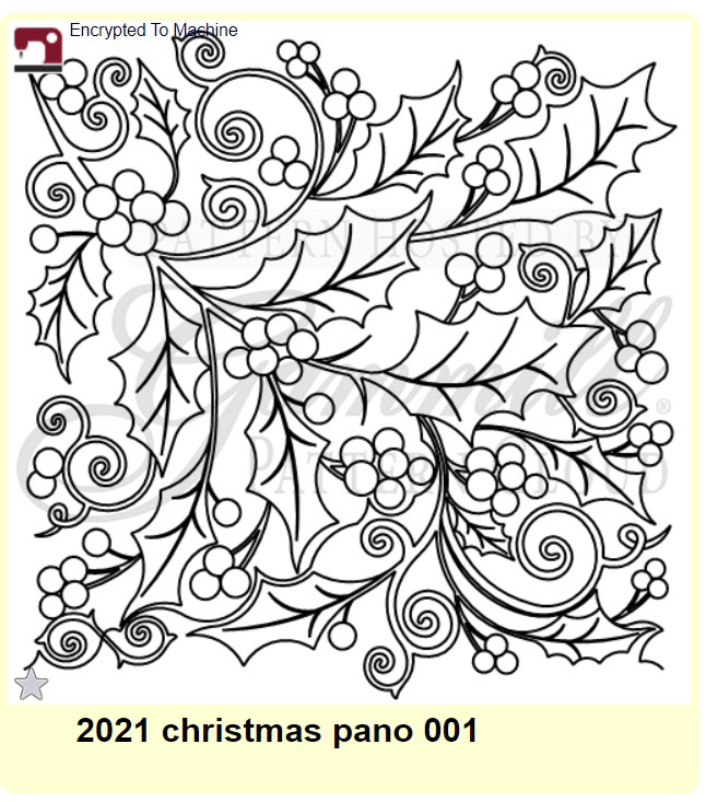 2021 Christmas Pano 001