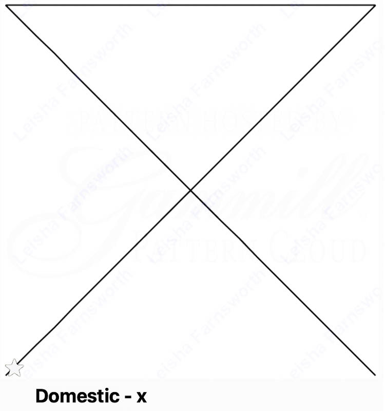 Domestic-X