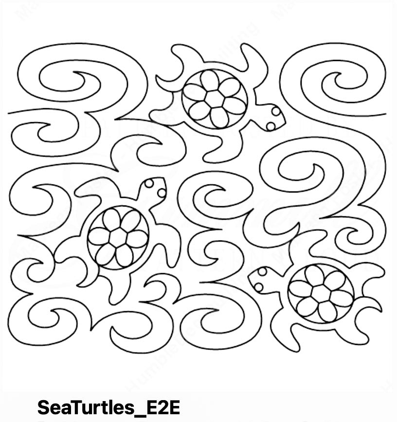 Sea Turtles