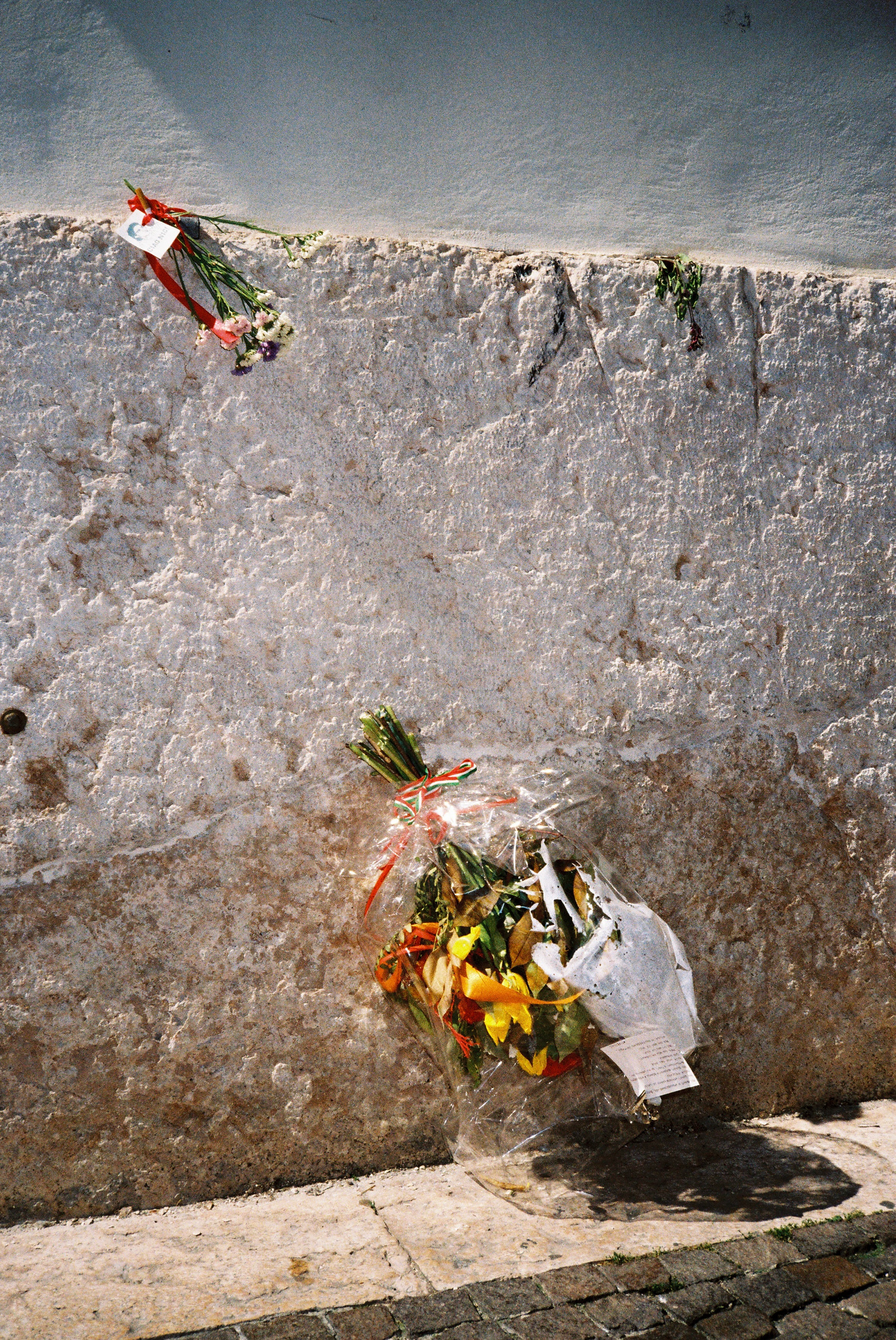 Bolzano, Italy 05.2025