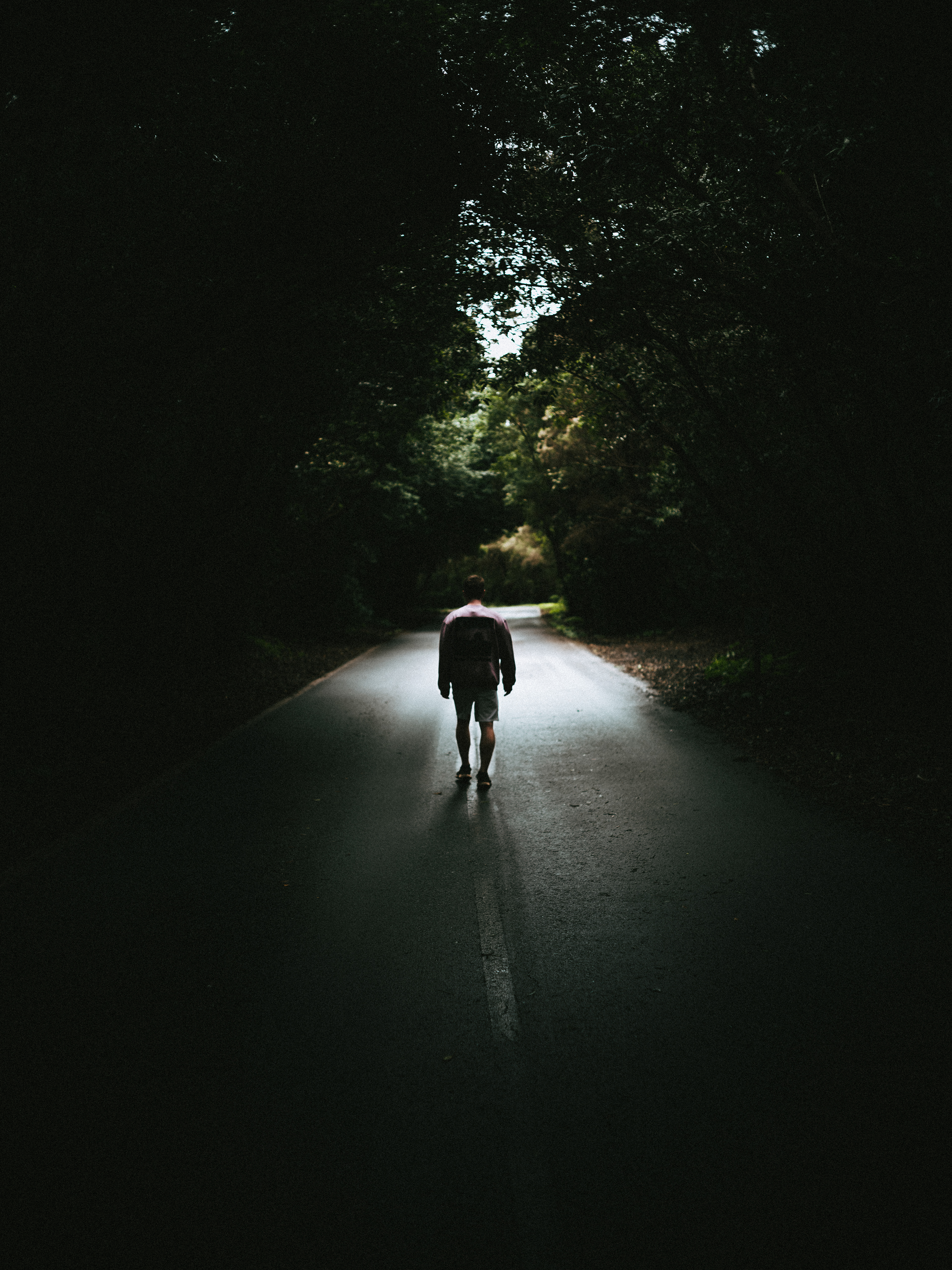 walking man on a road in the woods