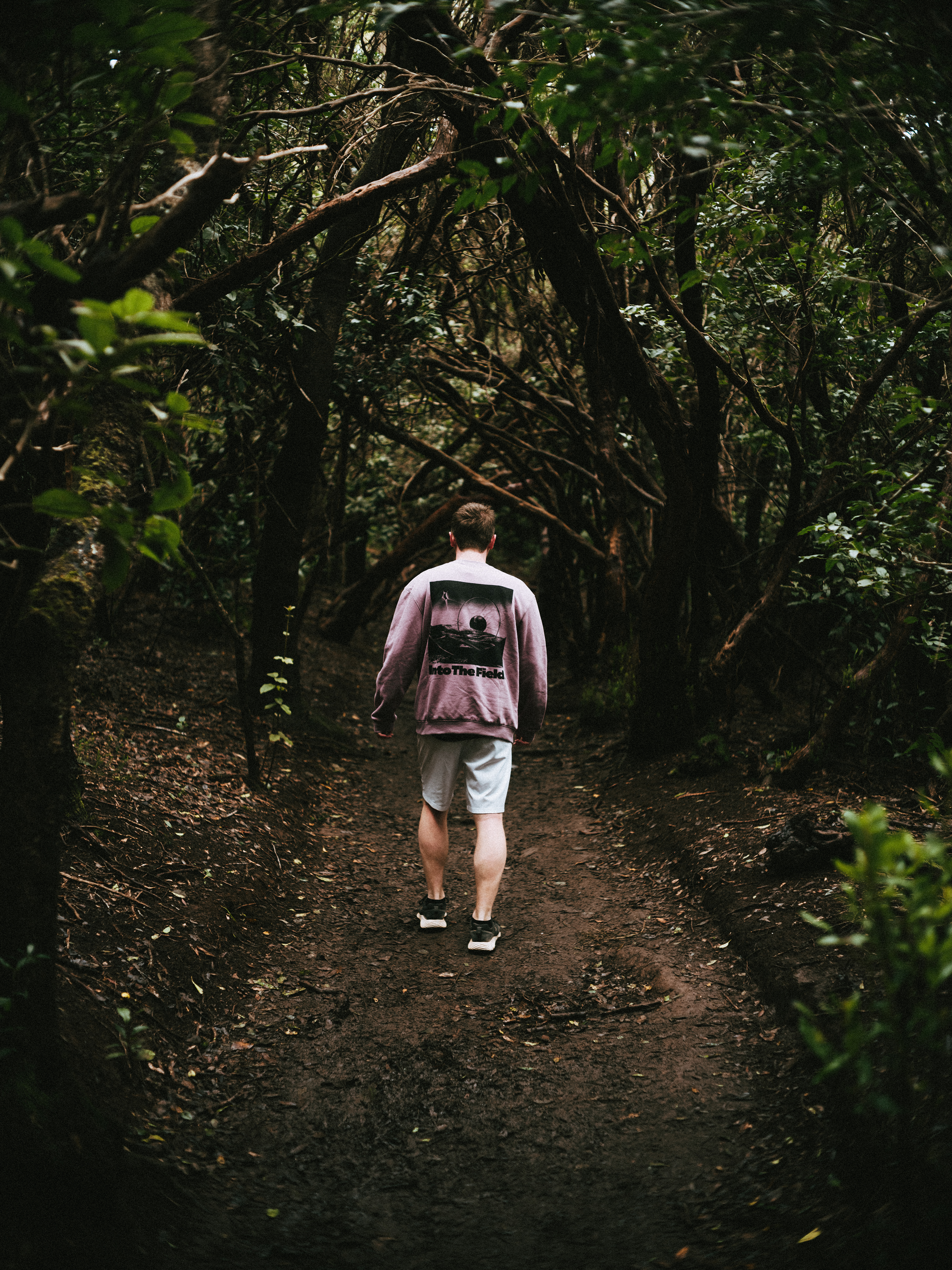 walking man in the woods