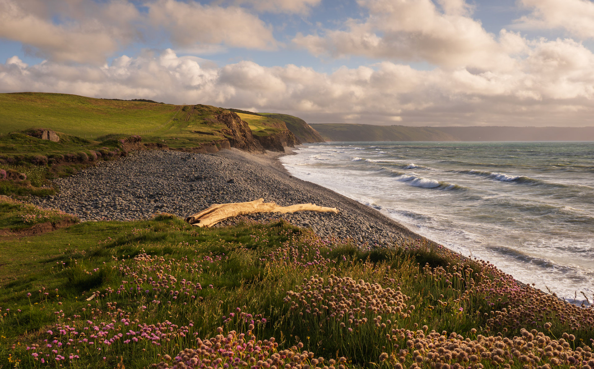 Abbotsham cliffs