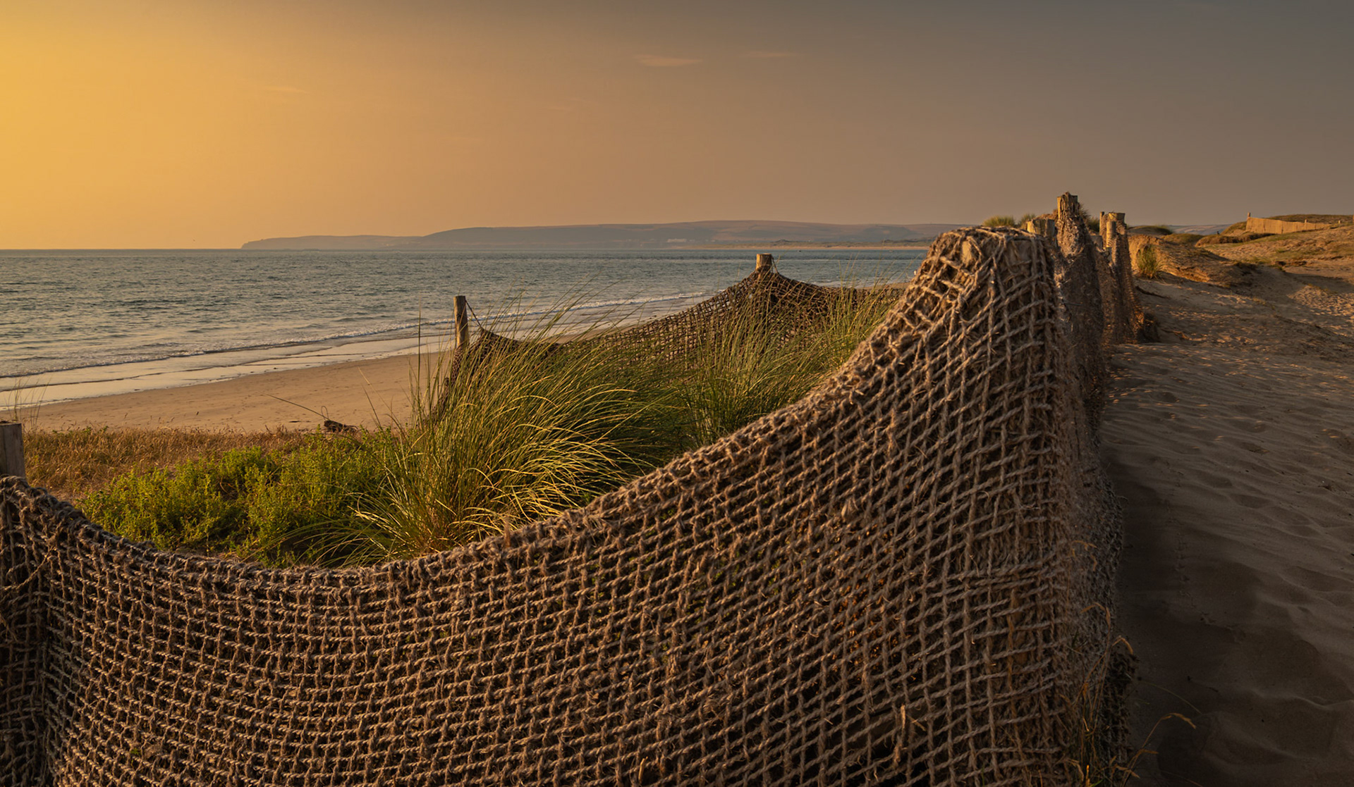 Dune protection, Northam Burrows