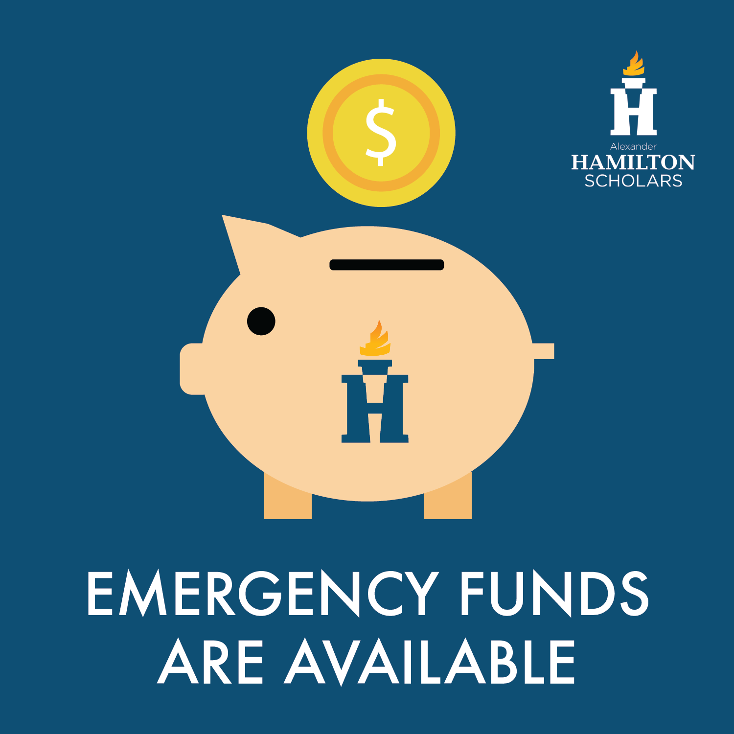Social media graphic for emergency fund services