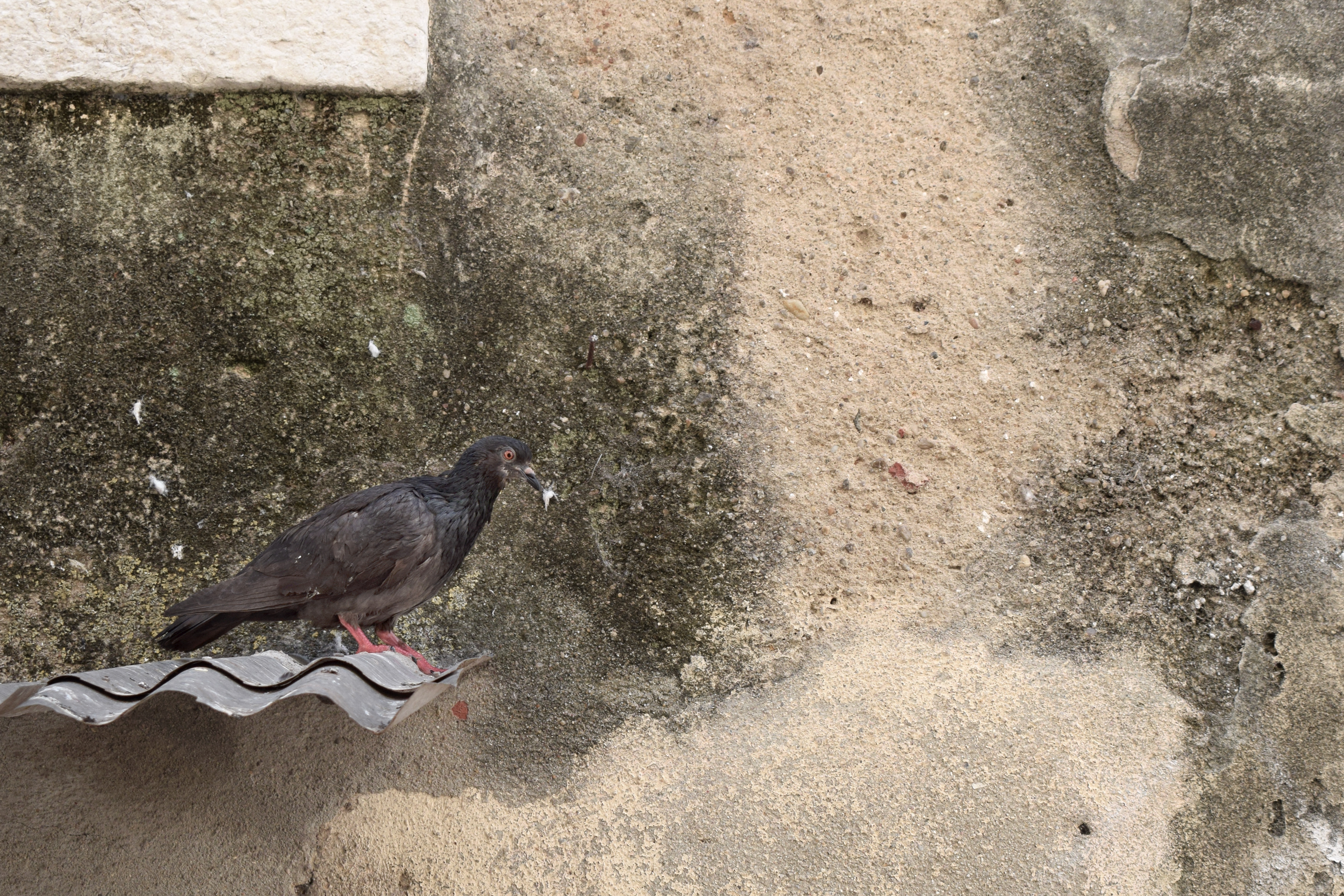 “I don’t have a face. I am invisible here. I have become part of the city. It has absorbed me. It is like we have been stripped of our homeland but instead of being given a new identity, we are left with a gaping hole.” (Near Martim Moniz, Lisbon, Portugal)