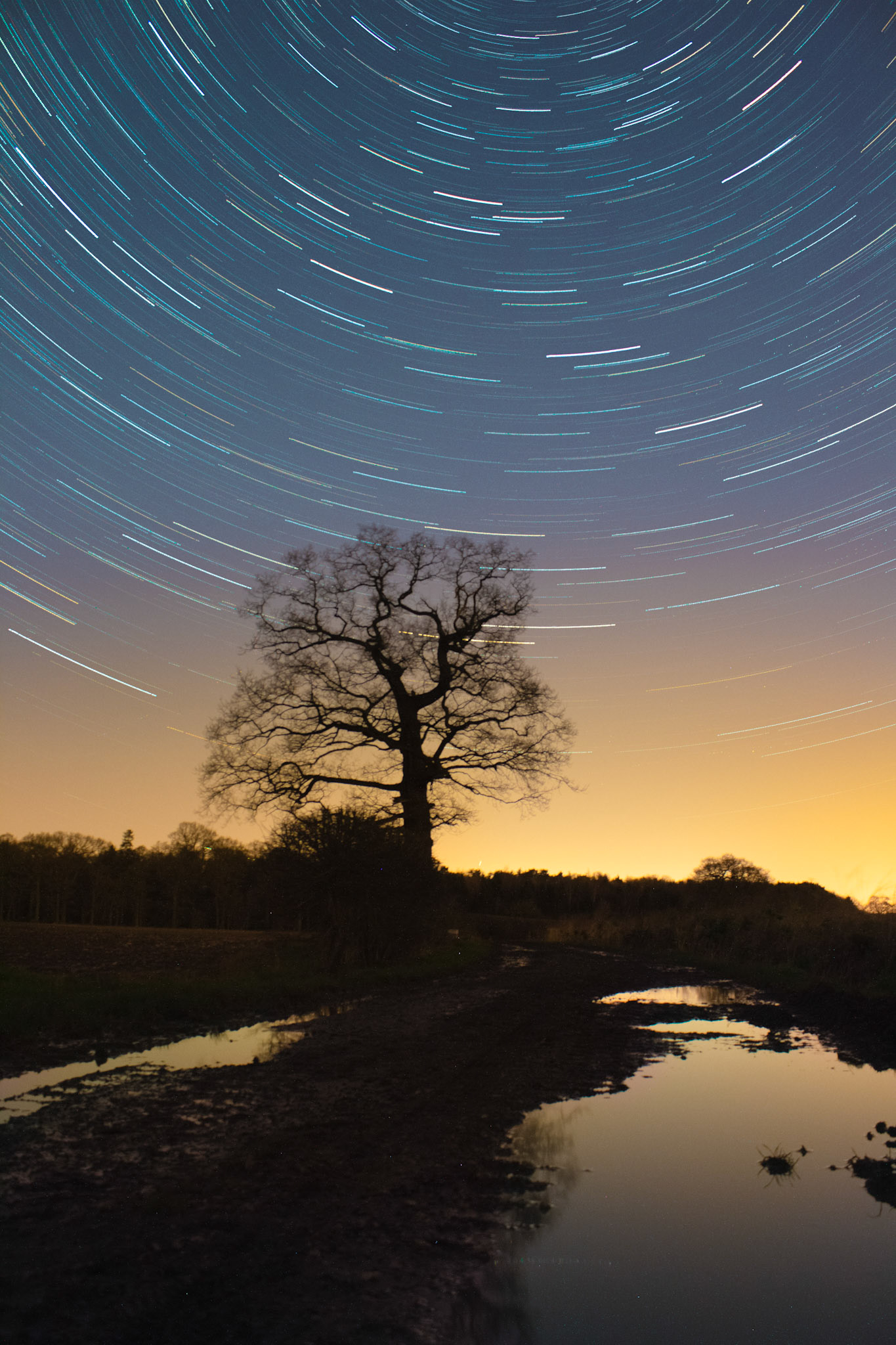 "Star Trails"
