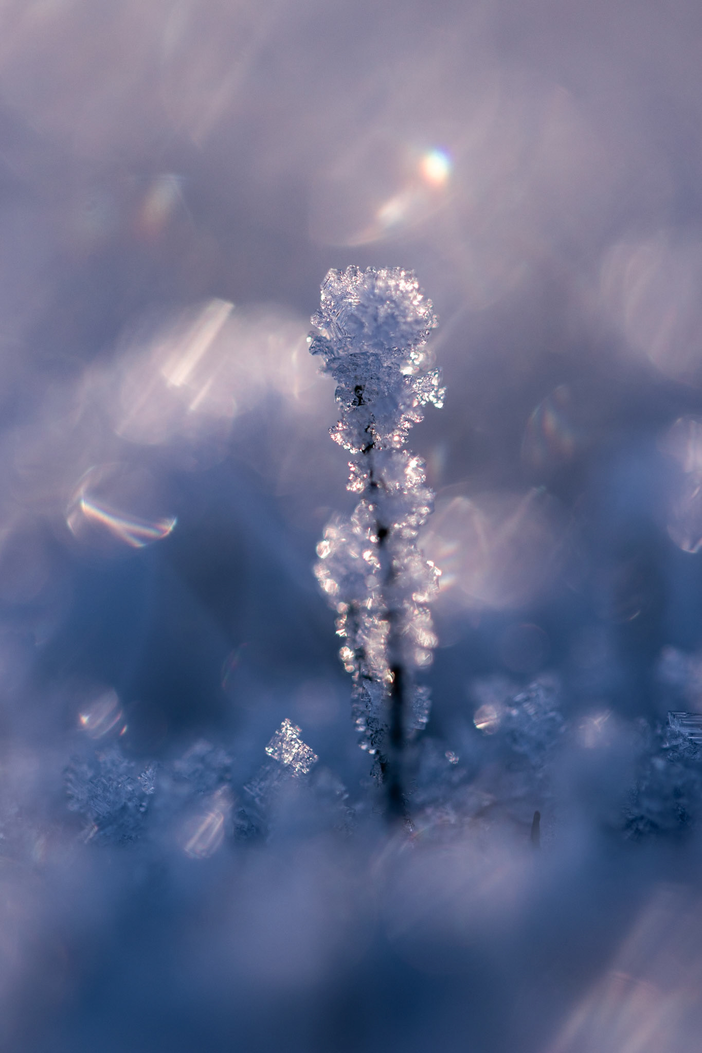 "Ice Crystals" #3
