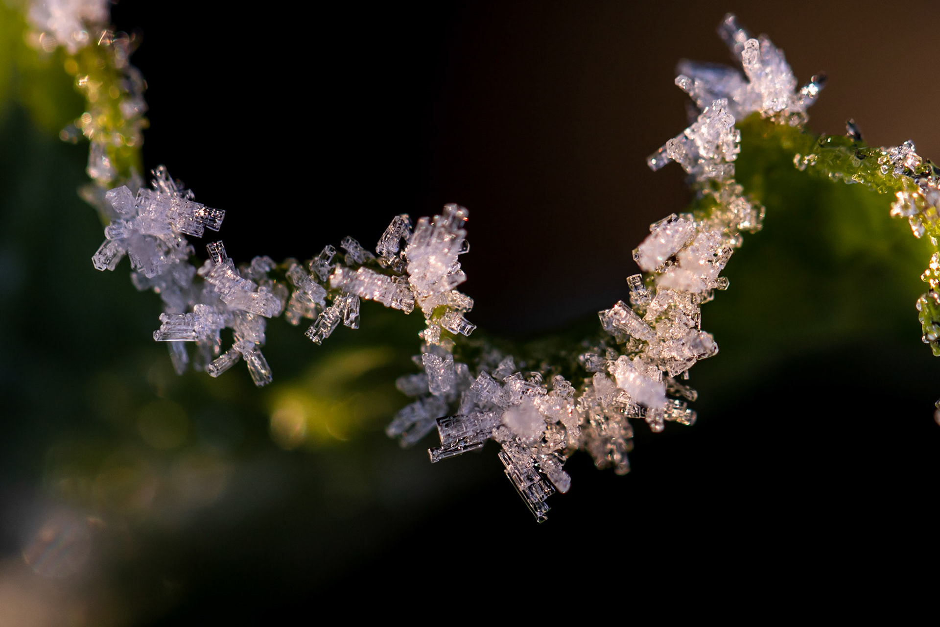 "Ice Crystals" #1