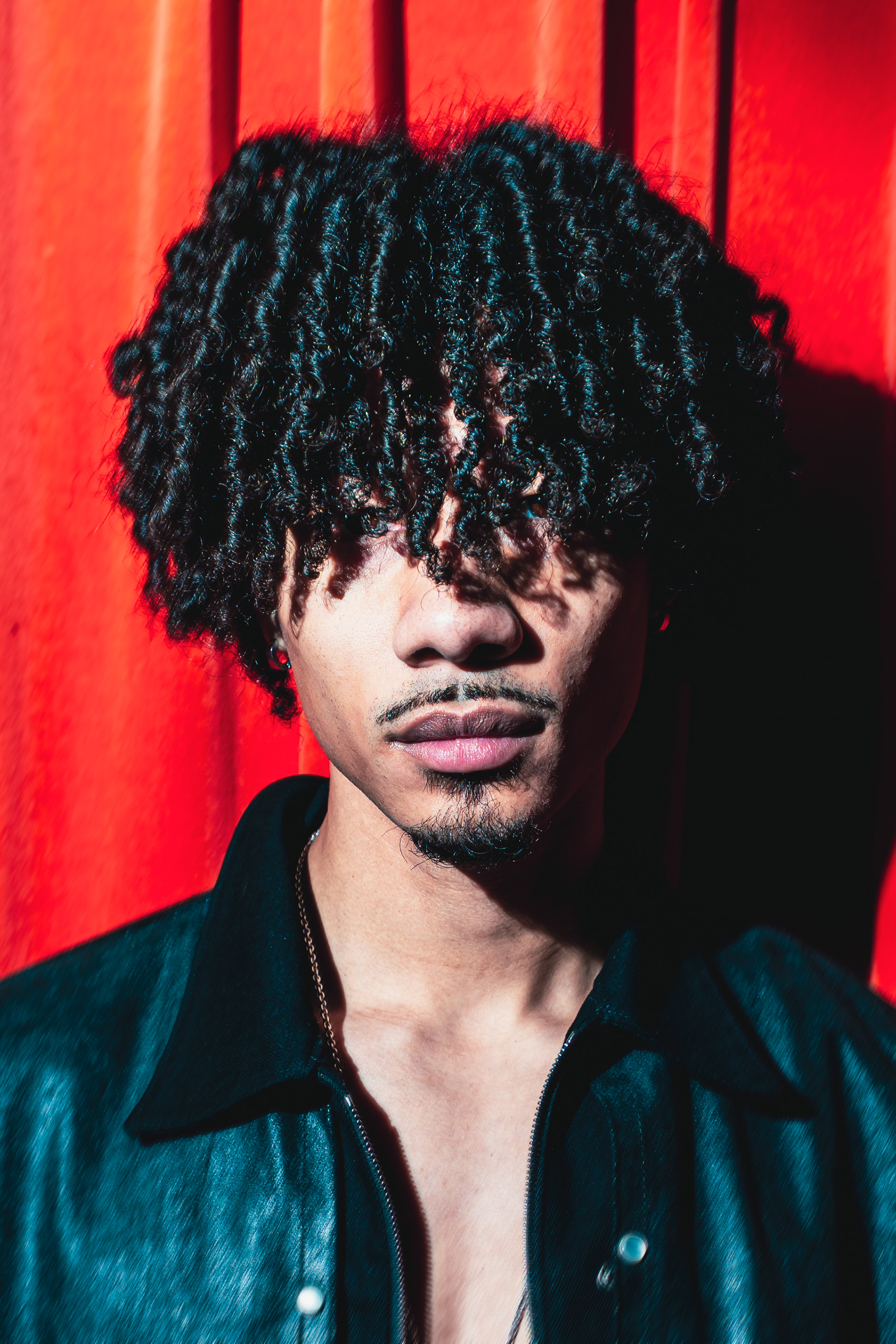 Bryant barnes - paradiso