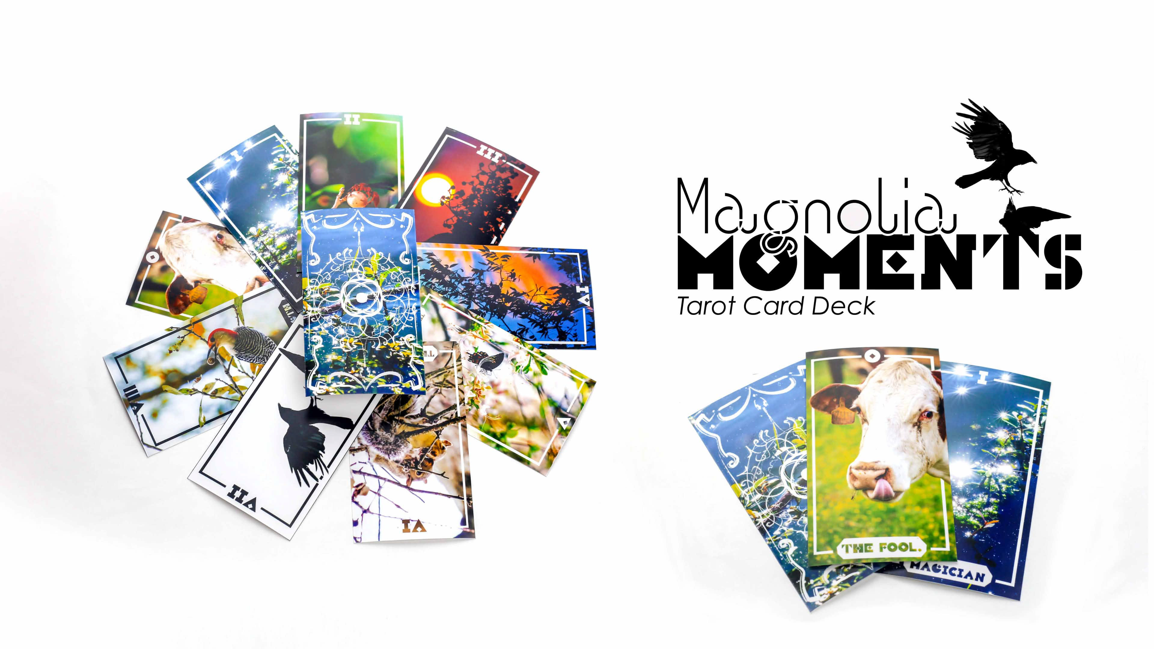 Magnolia Moments promotional poster for a nature themed photographic tarot card deck developed in Magnolia, Arkansas by Mtende Moyo.