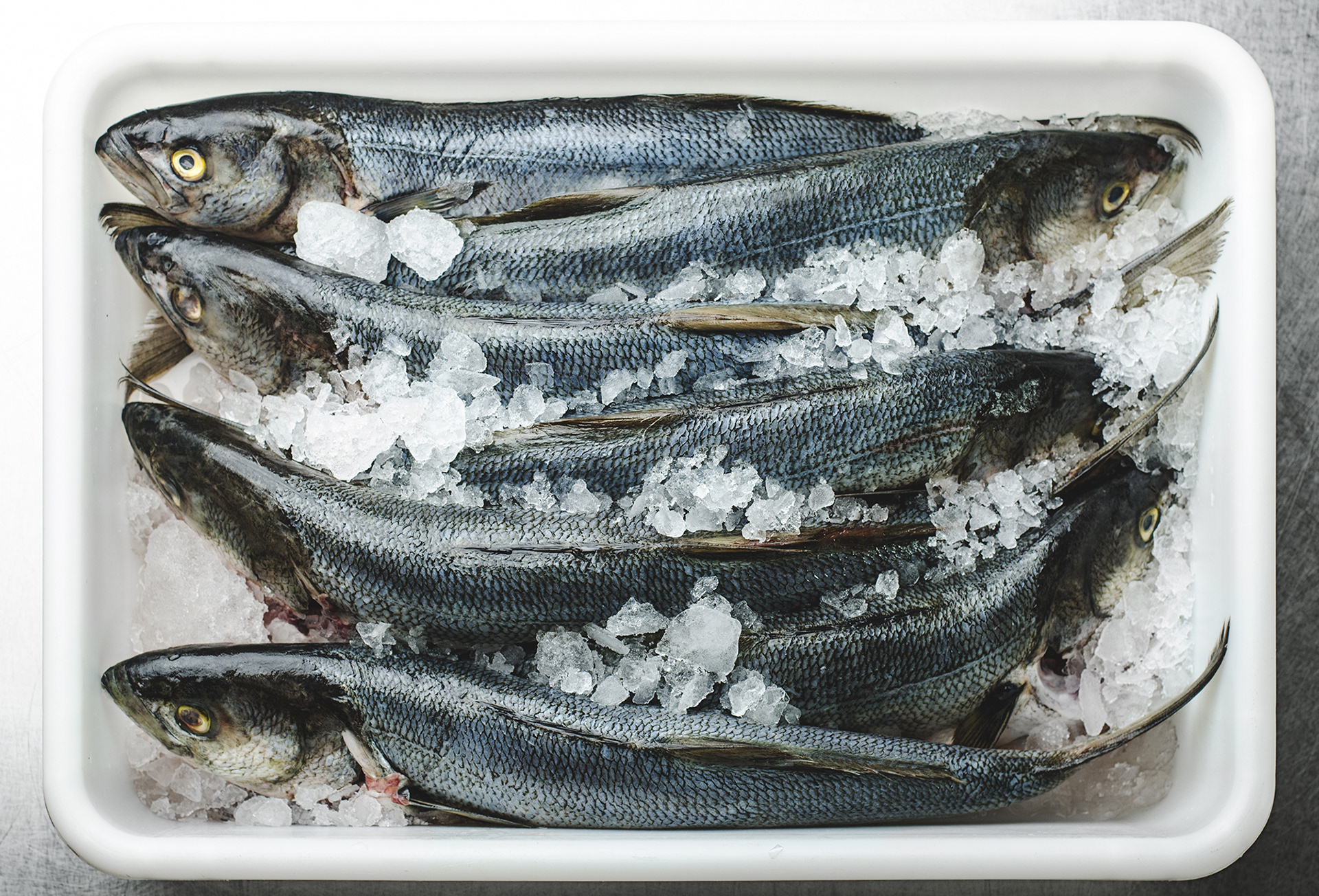 Fotografía de pescados, materia prima del restaurante Sarasanegro, fotografía realizada por el fotógrafo Sebastián Vecchi en la ciudad de Mar del Plata