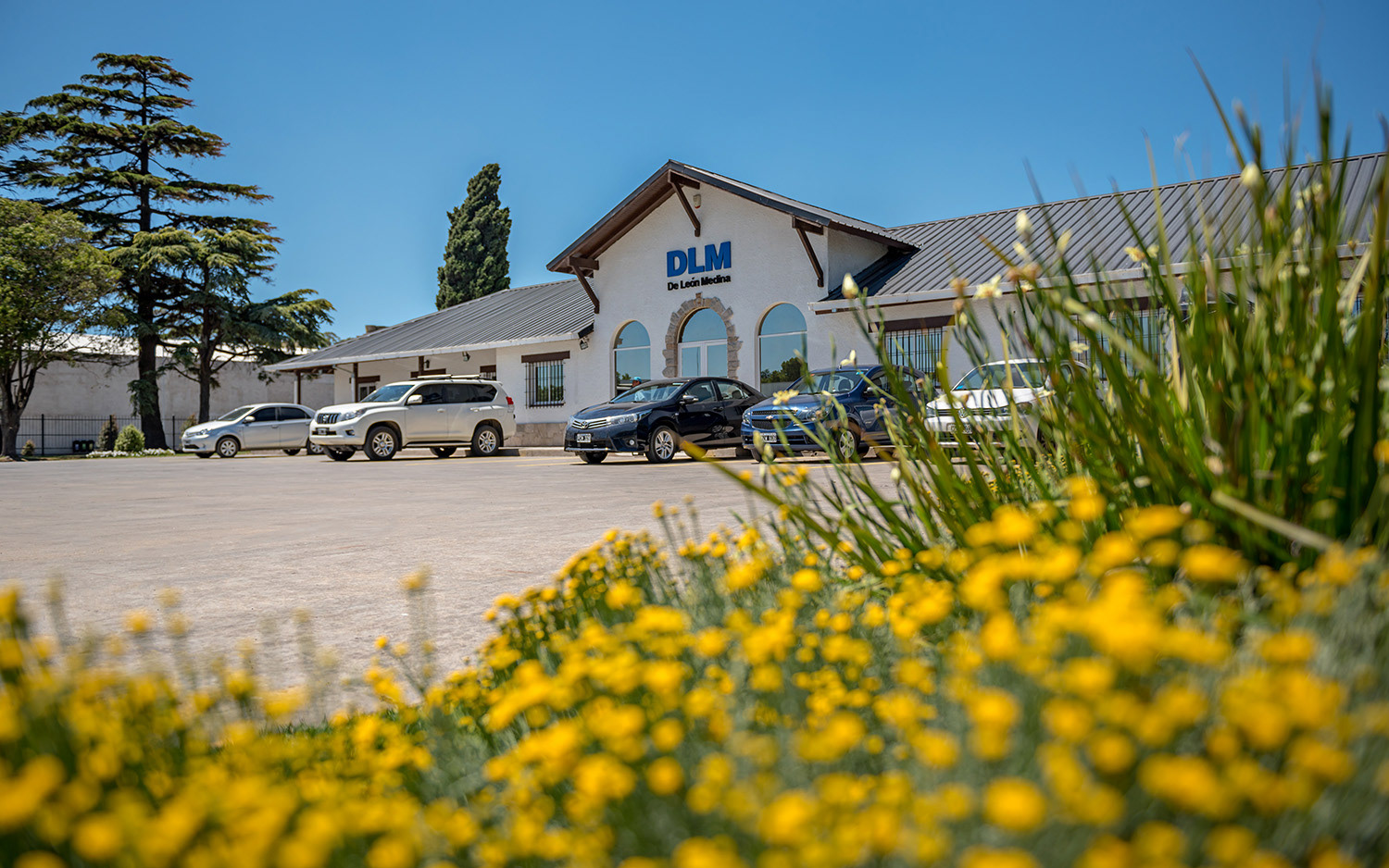fotografías de leon medina por sebastian vecchi fotografo de mar del plata