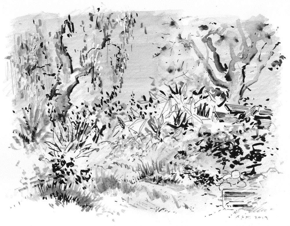  Sketch in garden at Self-Realization Fellowship Headquarters, Mount Washington, Los Angeles, 2019