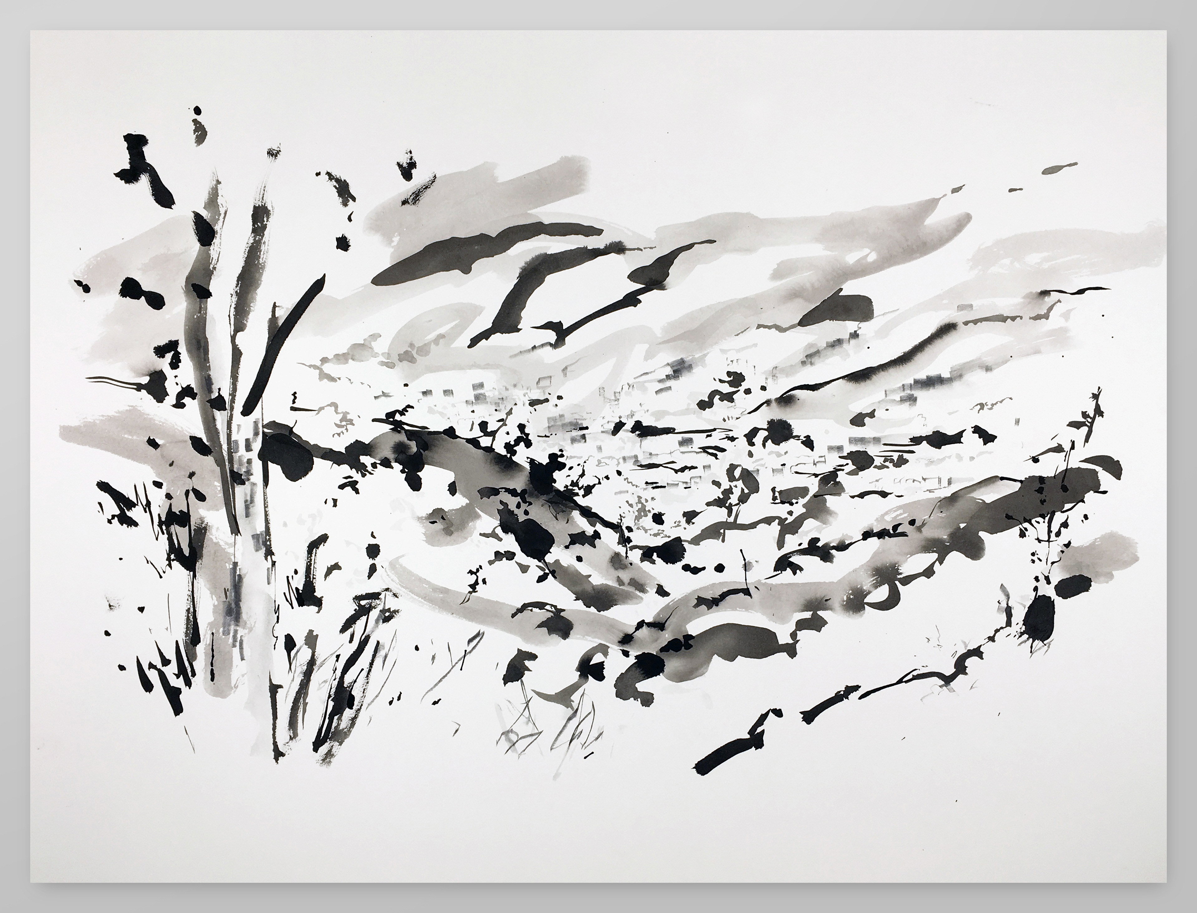 #190609C, 2019. Ink and graphite on BFK Rives paper, 30"x22". 