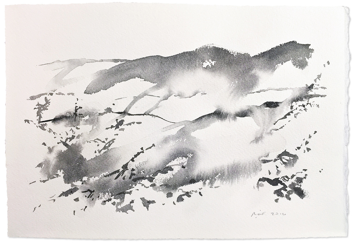 #1602D, 2016. Sumi ink on coarse watercolor paper, 11.5 x 7.5 in.