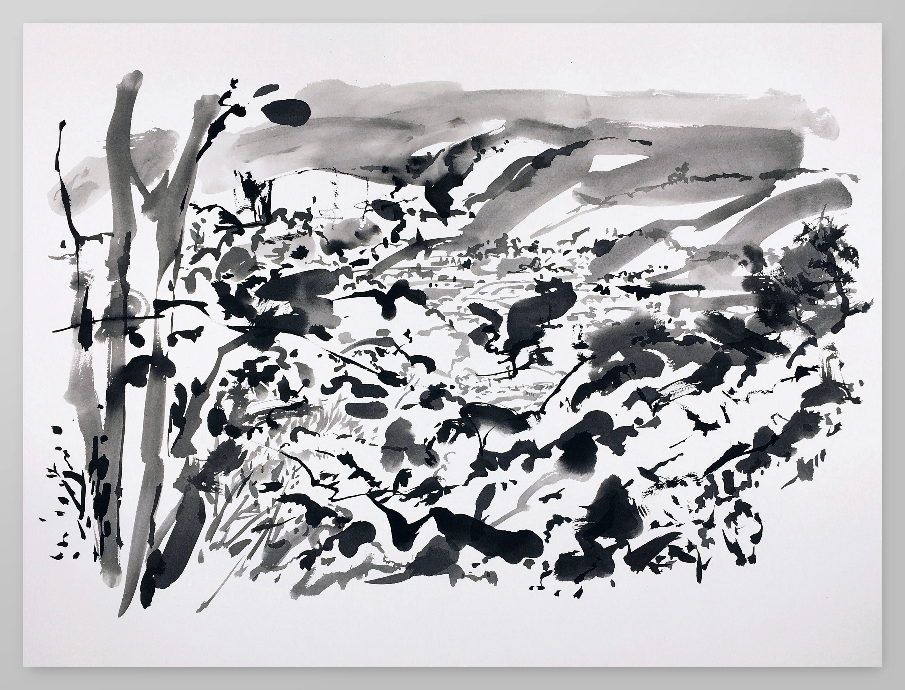 #190609A, 2019. Ink and graphite on heavy watercolor paper, 30x22.5 in.