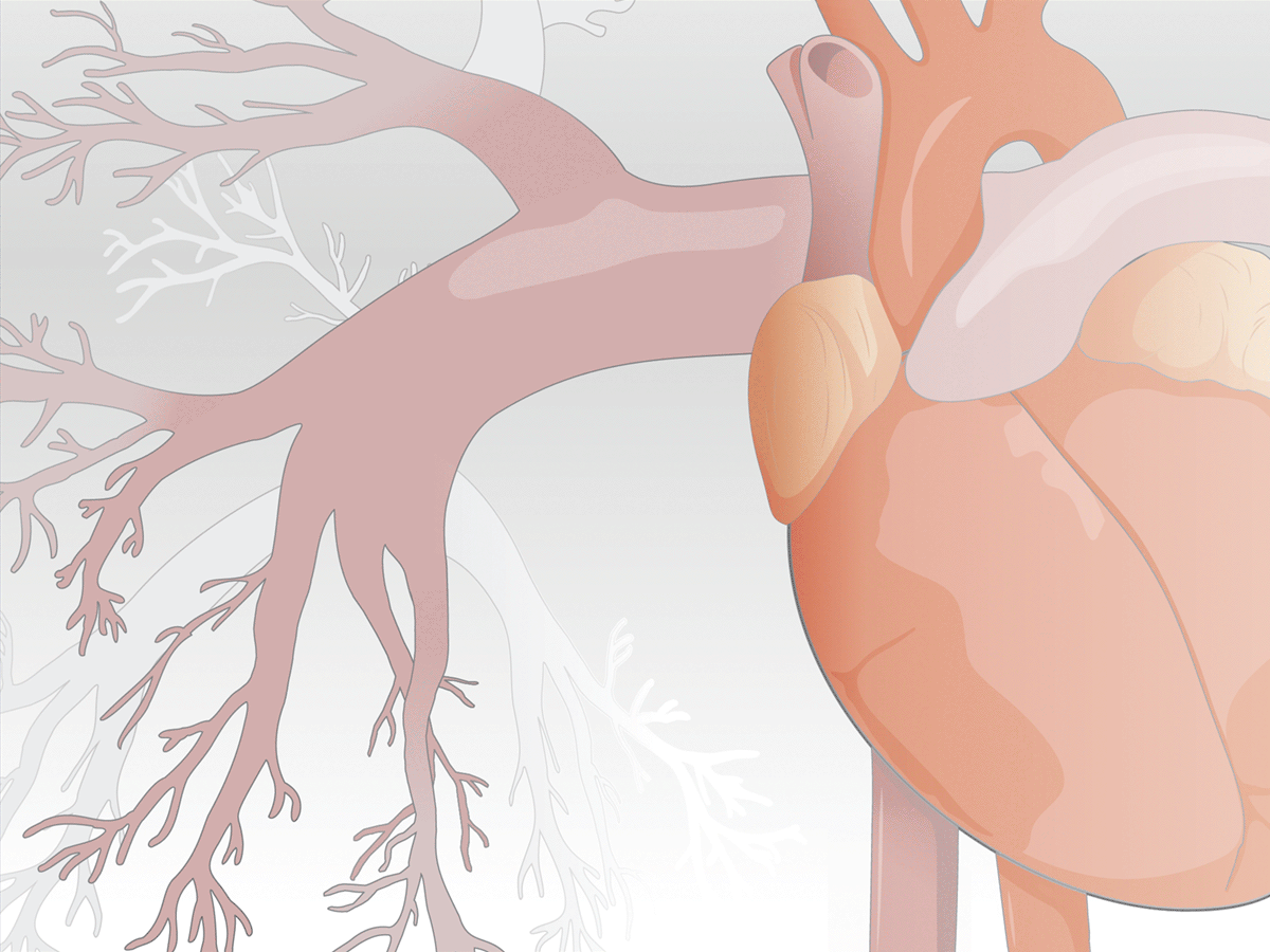 Medical illustration for Driscoll Bell, LLC