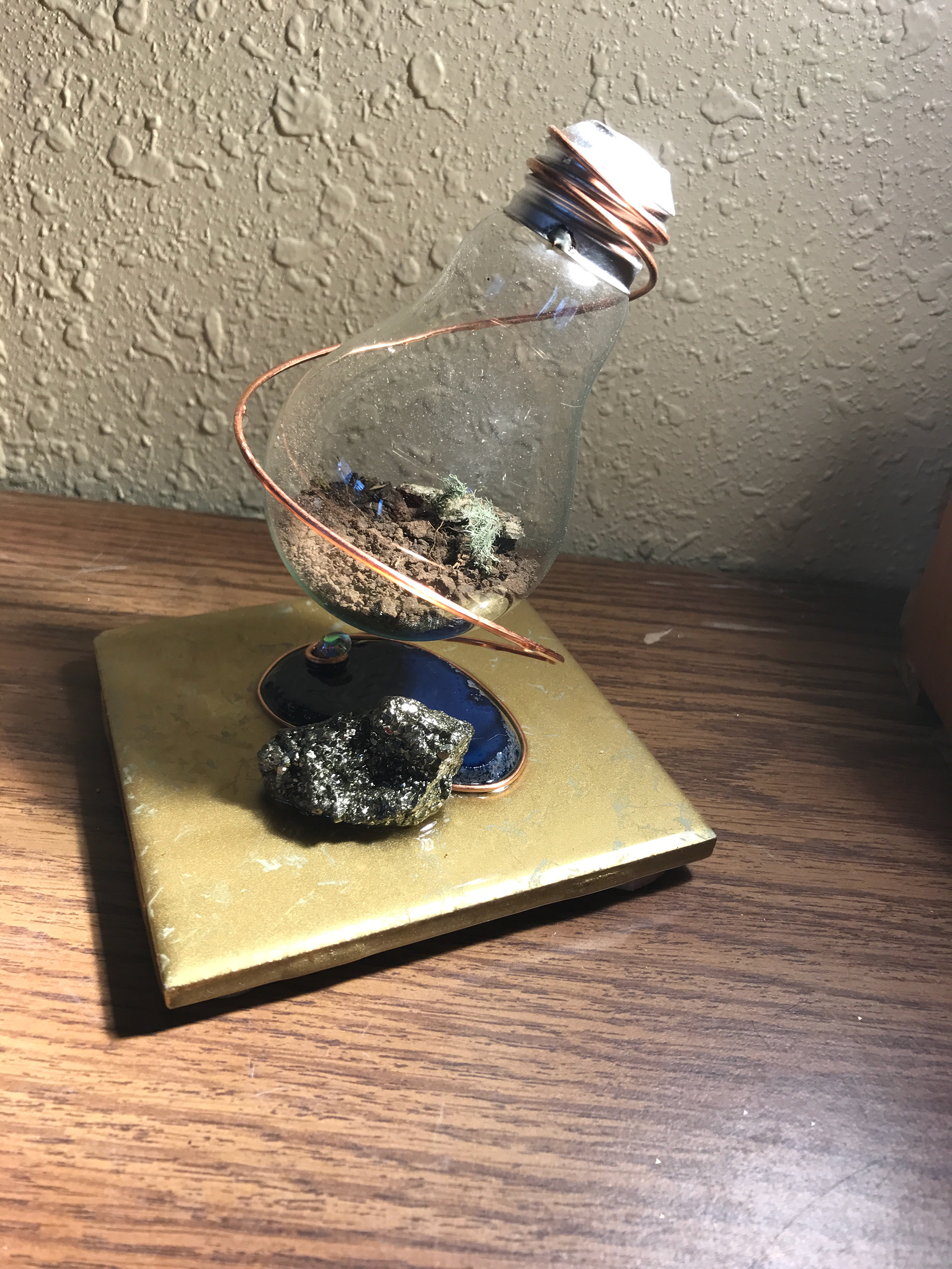 Terrarium