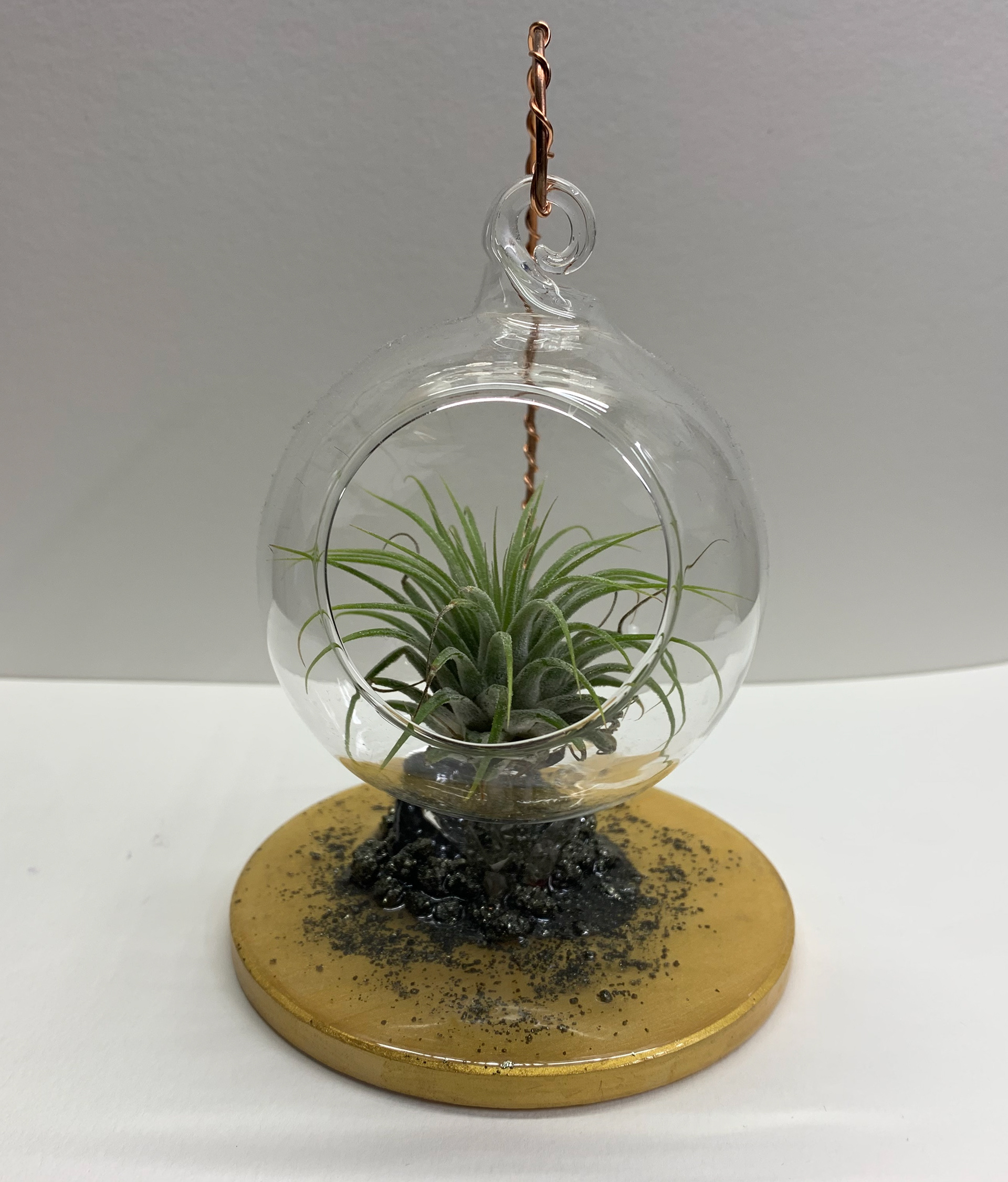 Terrarium
