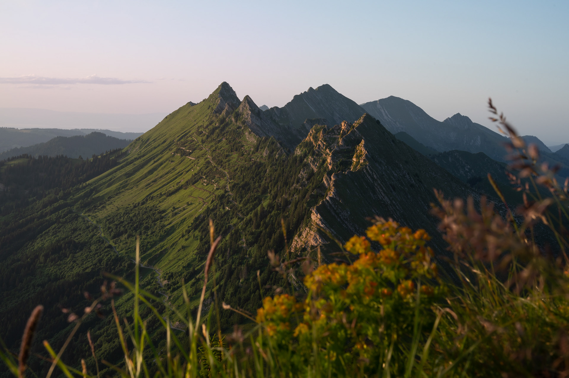 Douce lumière - Vaud