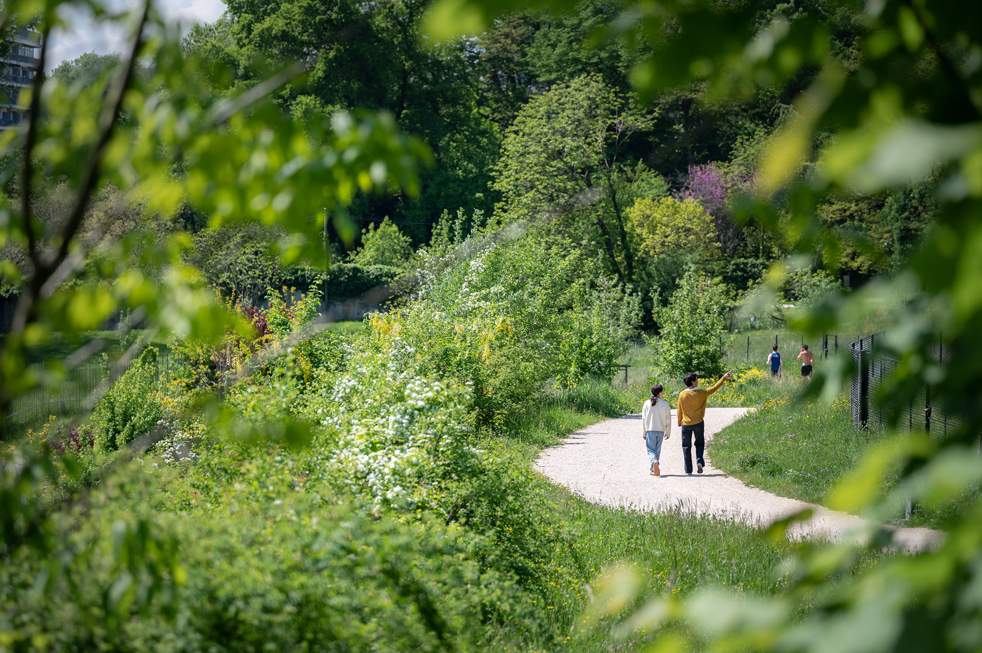 Promenade de la Paix - Genève