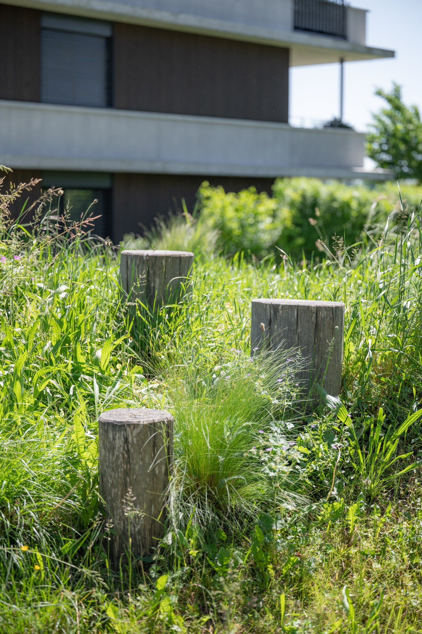 Écoquartier - Lausanne