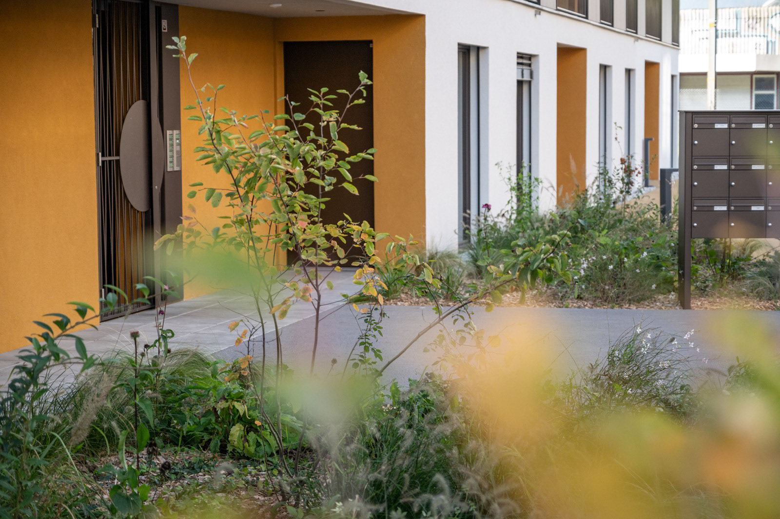 Quartier - Yverdon