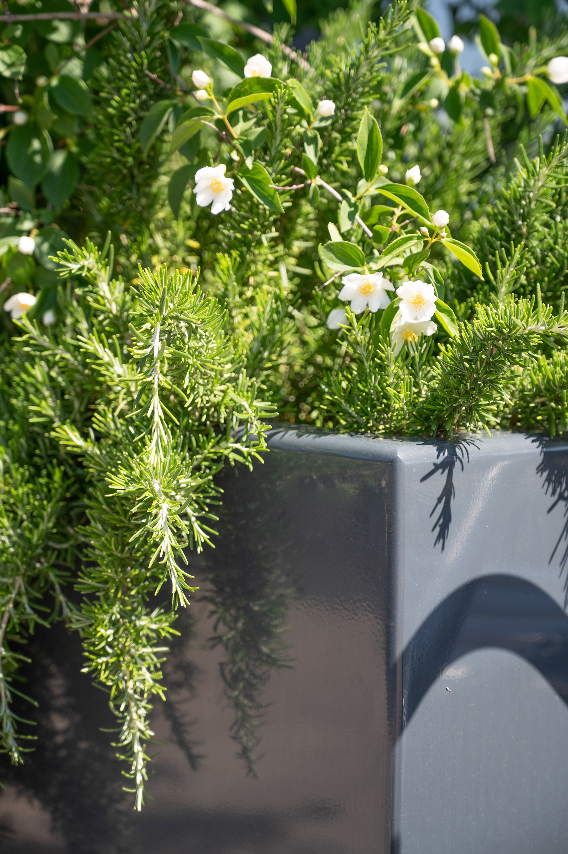 Hôpitaux Universitaires de Genève