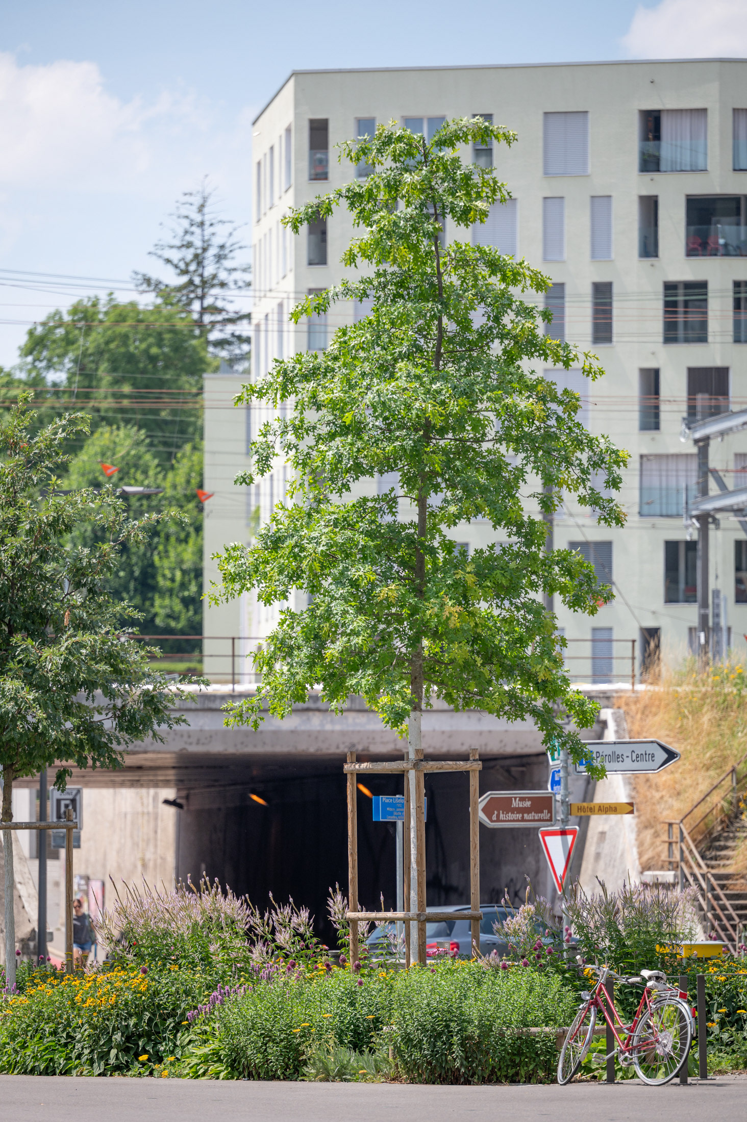 Place Liselotte-Spreng - Fribourg