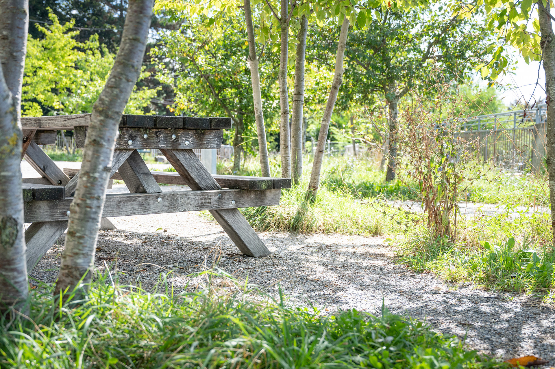 Bois de Baulieau - Lausanne