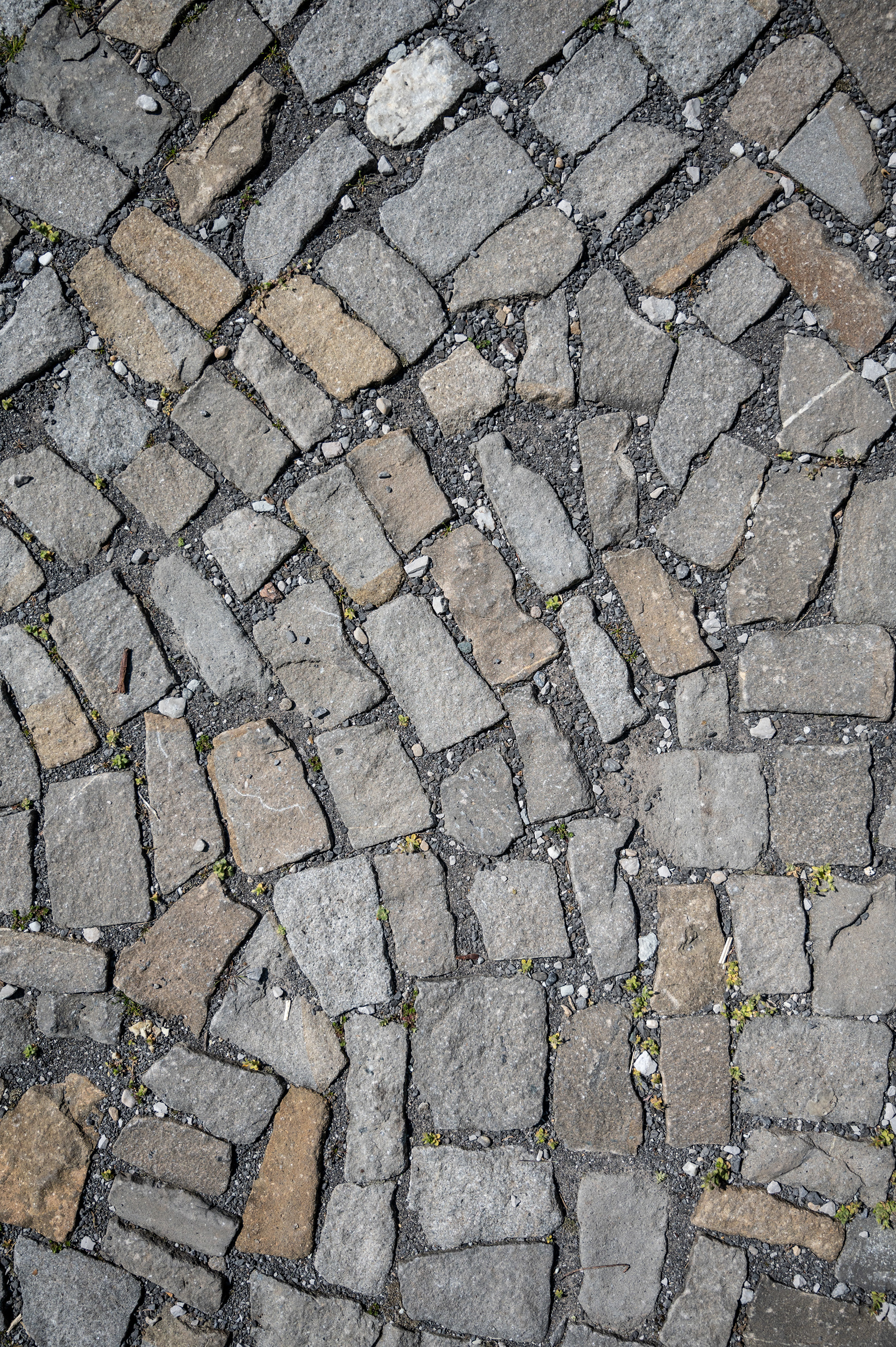 Parc Chaplin - Vevey