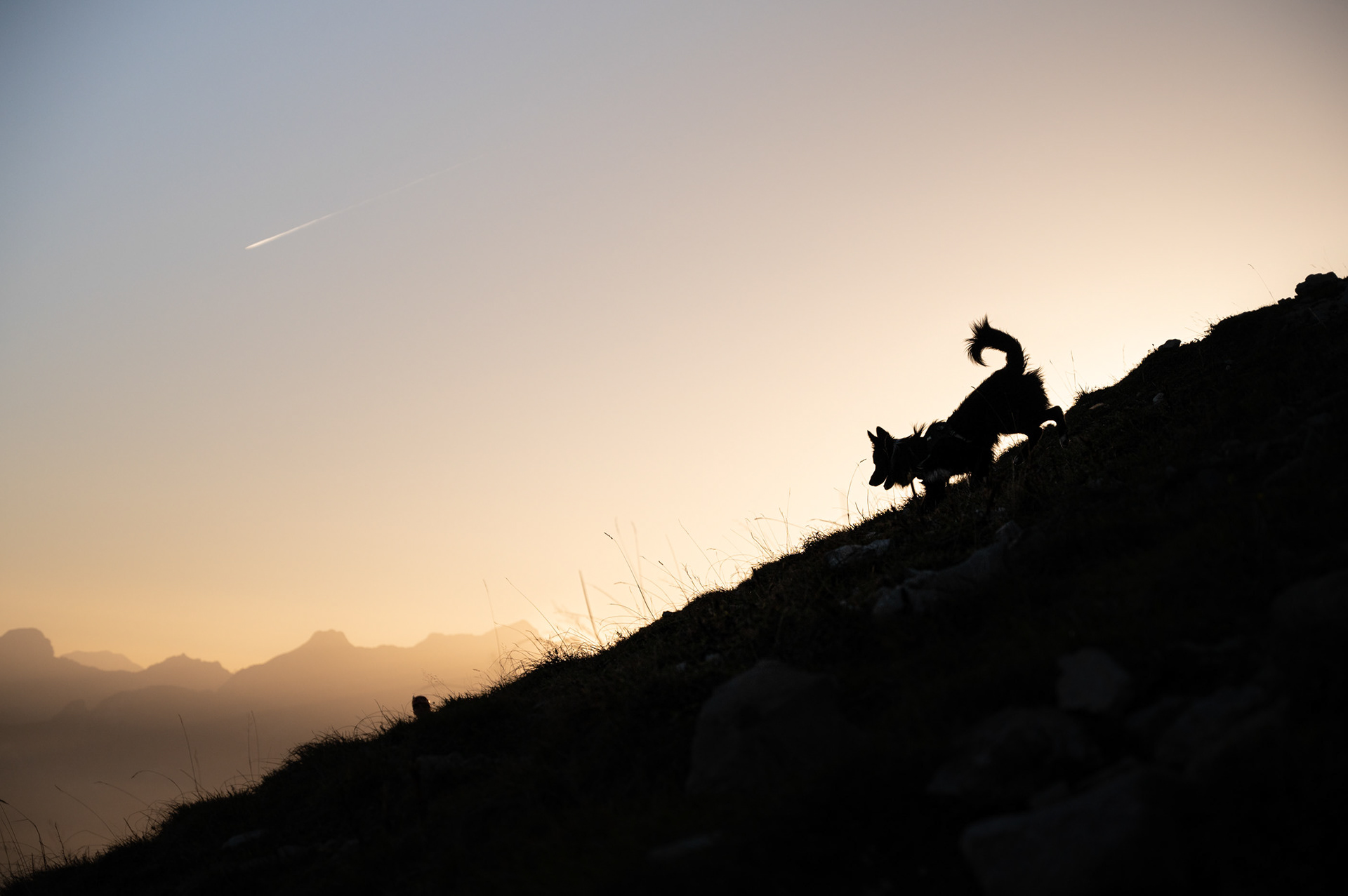 Couché de soleil - Vaud