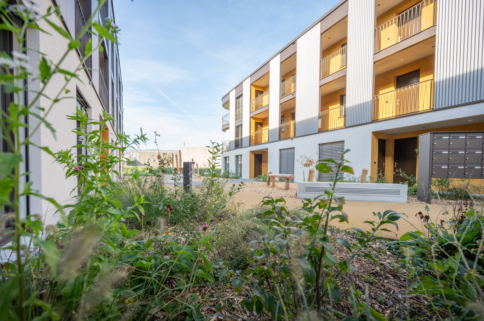 Quartier - Yverdon