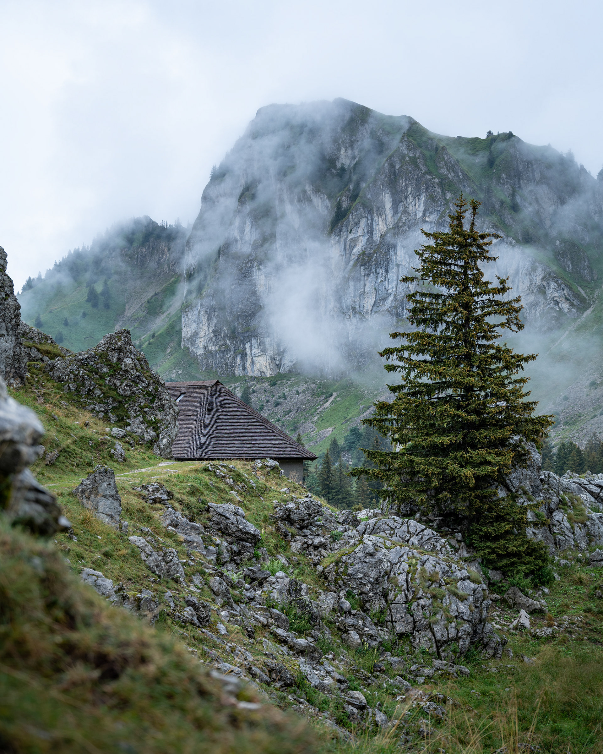 Comme un air d'automne - Vaud