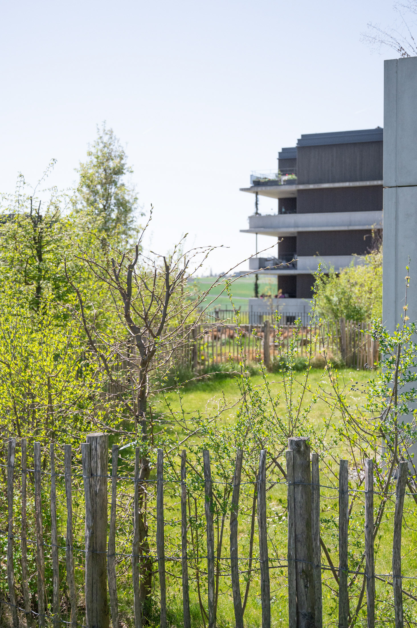 Écoquartier - Lausanne