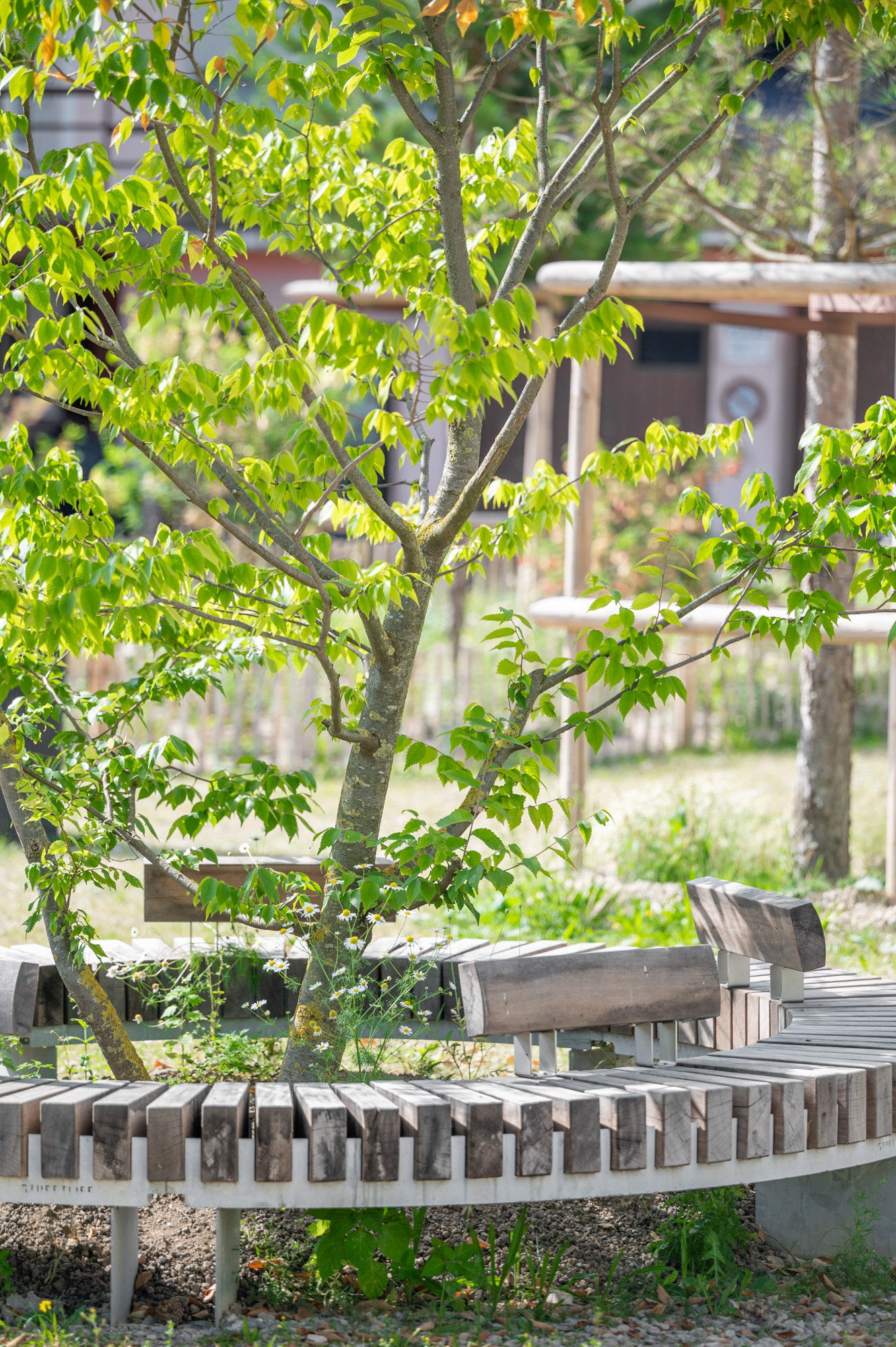 Place du Marché - Renens