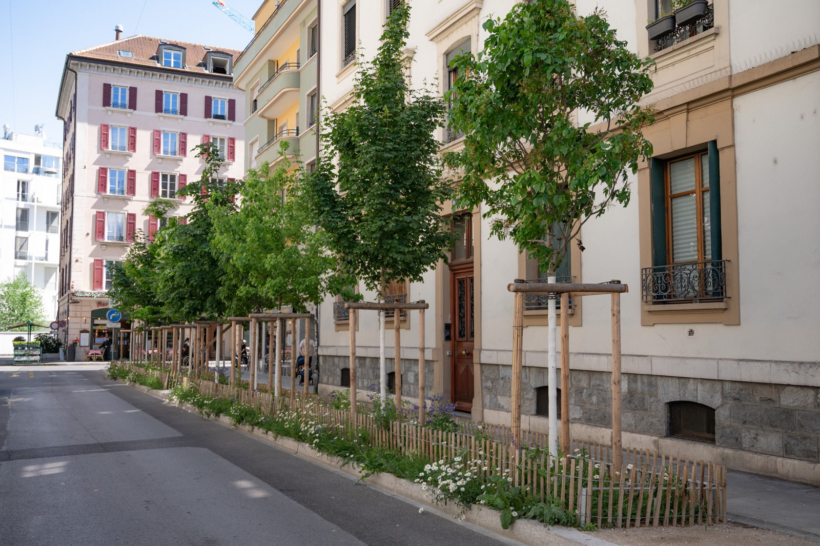 Plantation - Genève