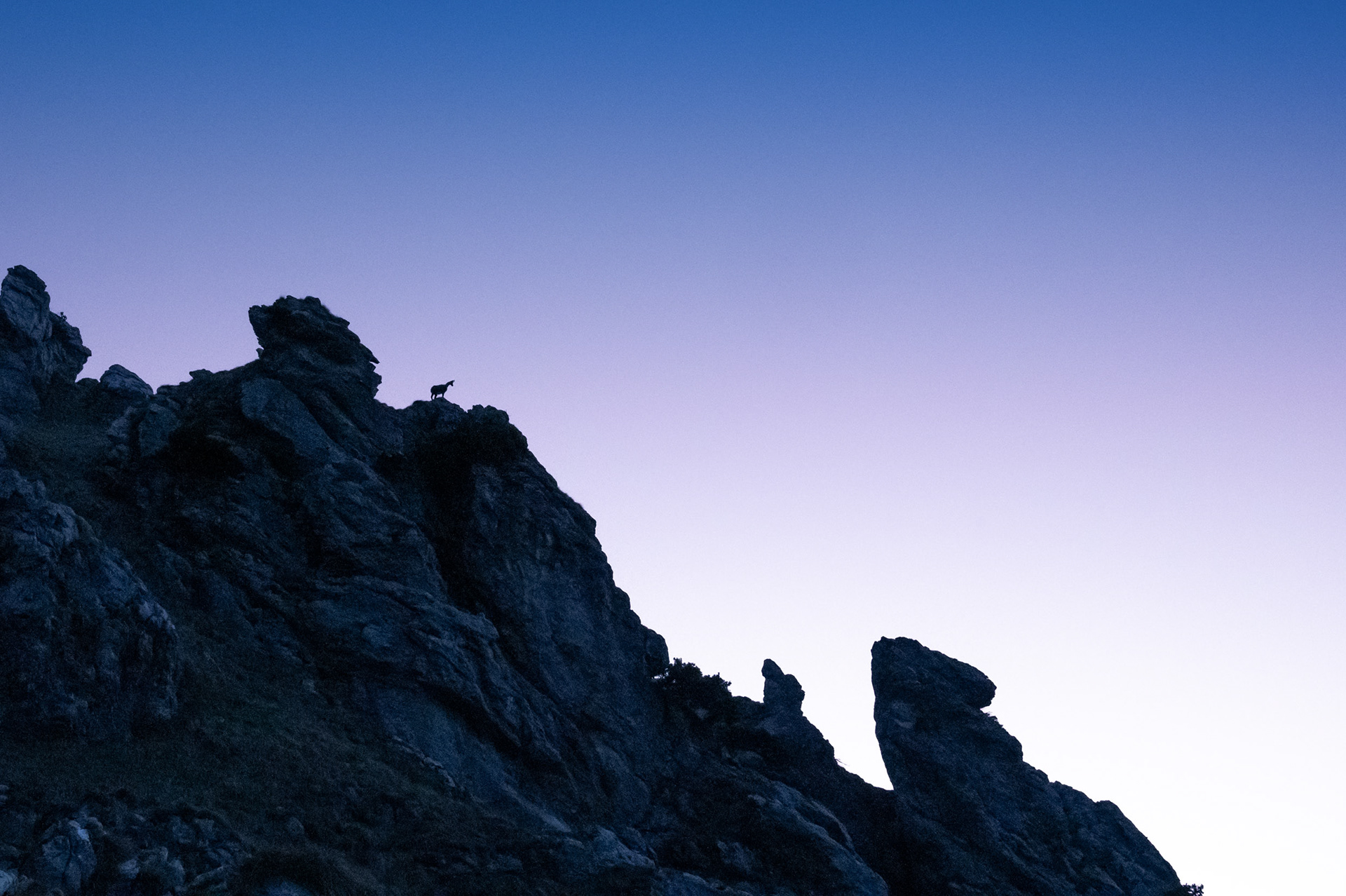L'observateur - Valais