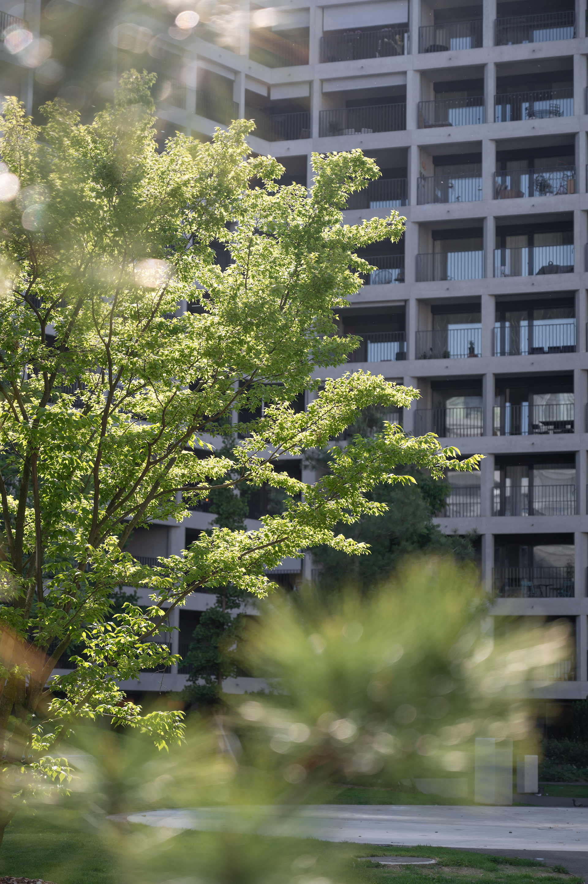 Quartier de la Forêt - Genève