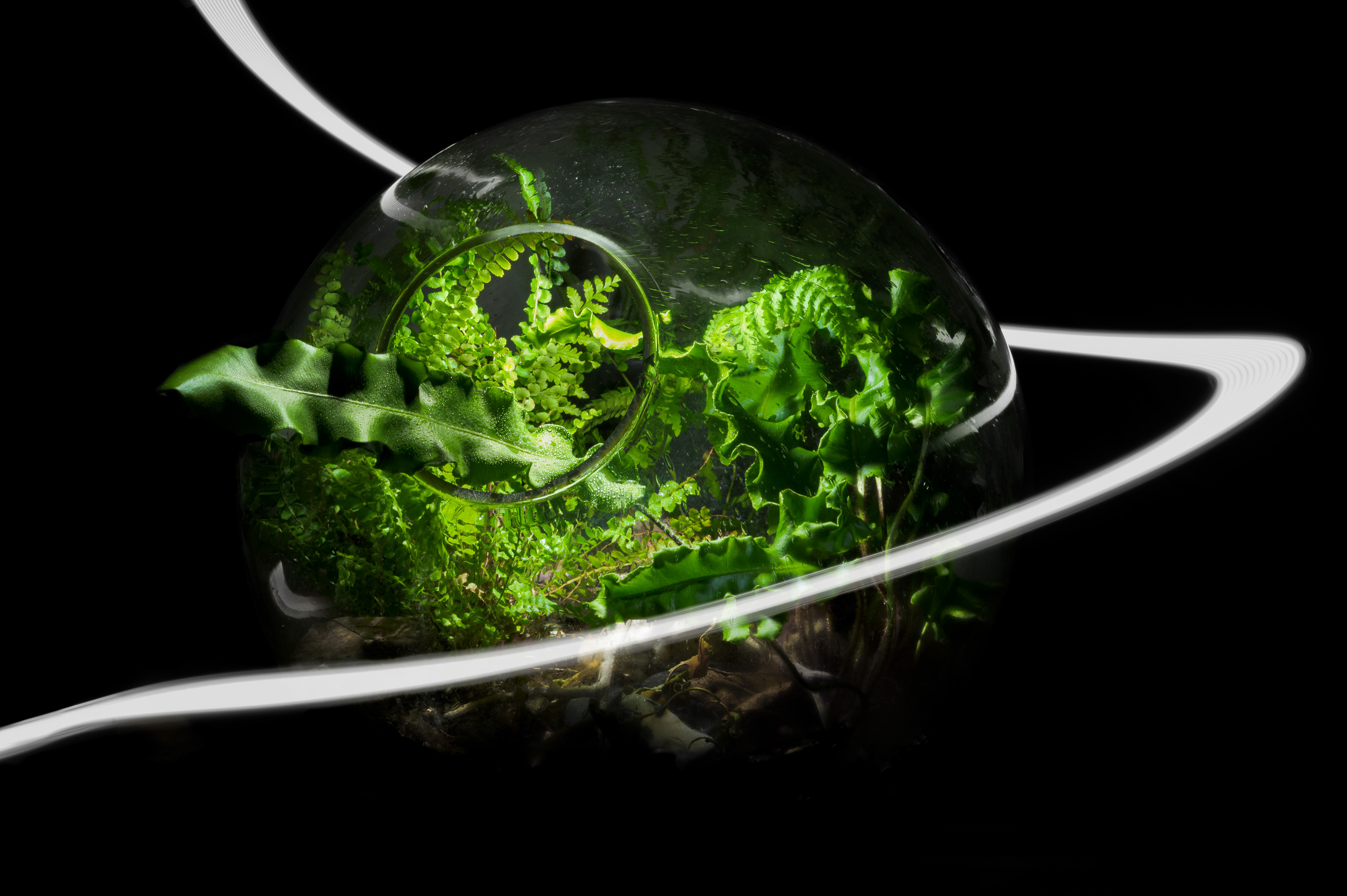 Terrarium