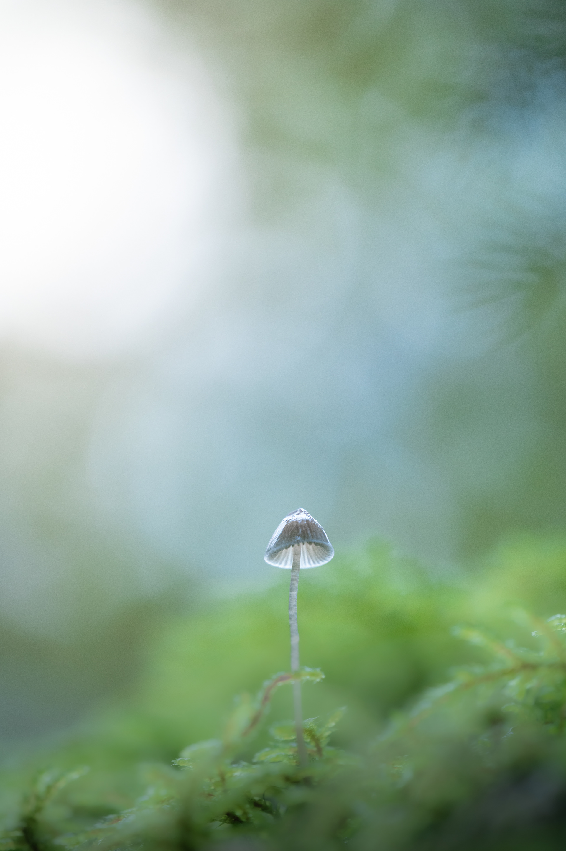 Up