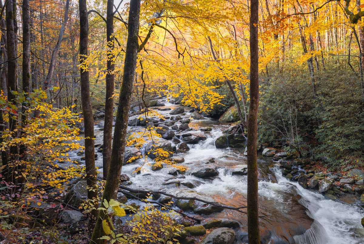 Smoky Mtns Natl Park
